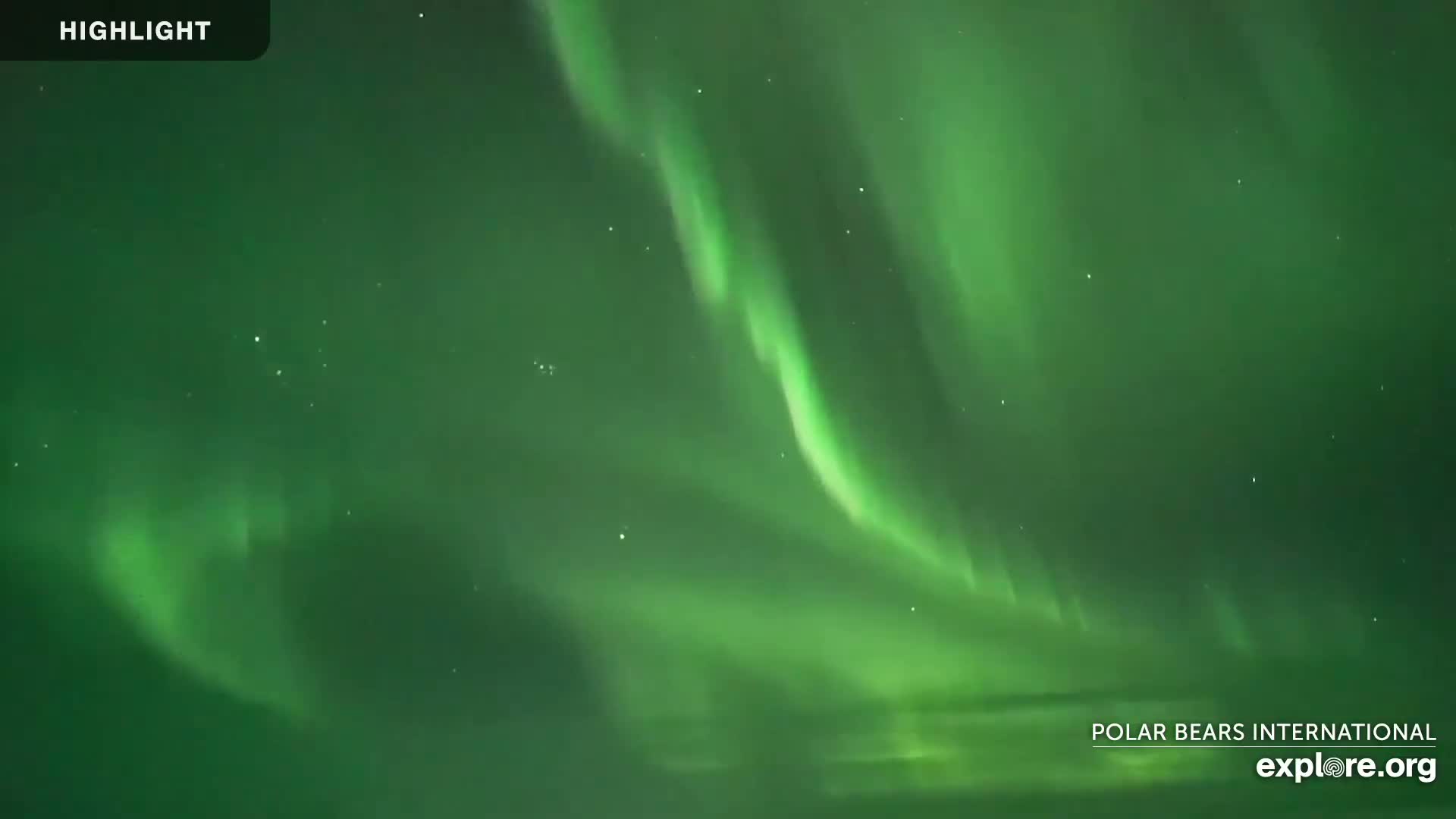 Churchill Marine Observatory, Northern Lights / Aurora Borealis / Stars View Live Cam - Churchill, Division No. 23, Northern Manitoba, Manitoba, Canada 