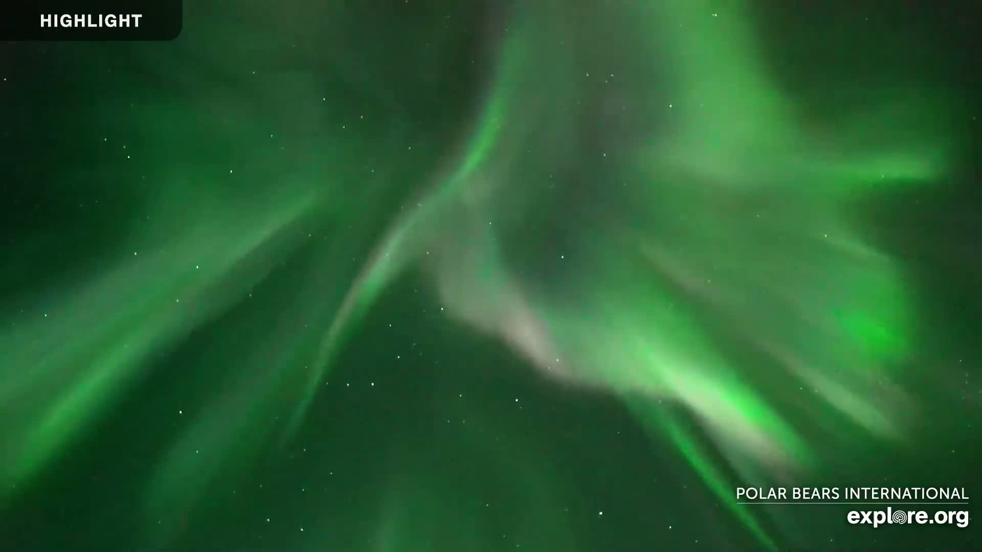 A vibrant green aurora borealis fills a dark night sky with swirling, luminous patterns.