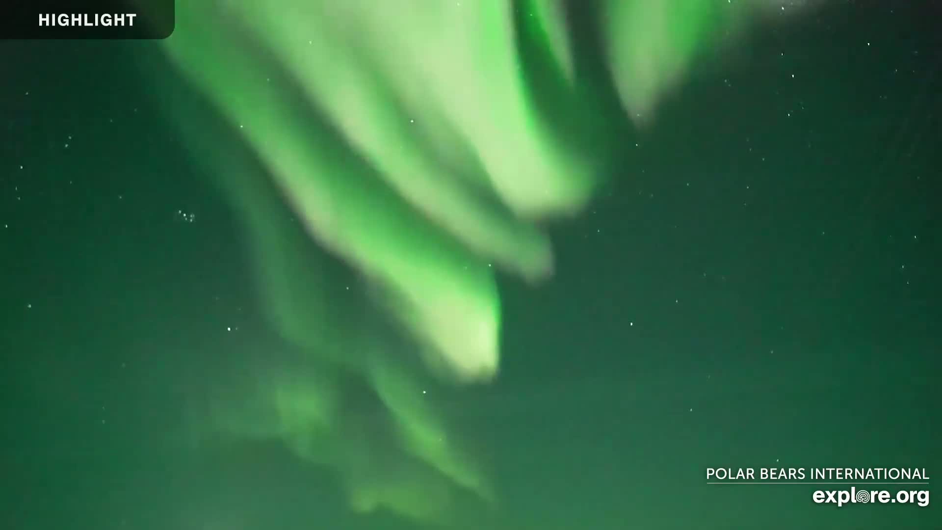 Swirling green and white aurora borealis fill a dark night sky.