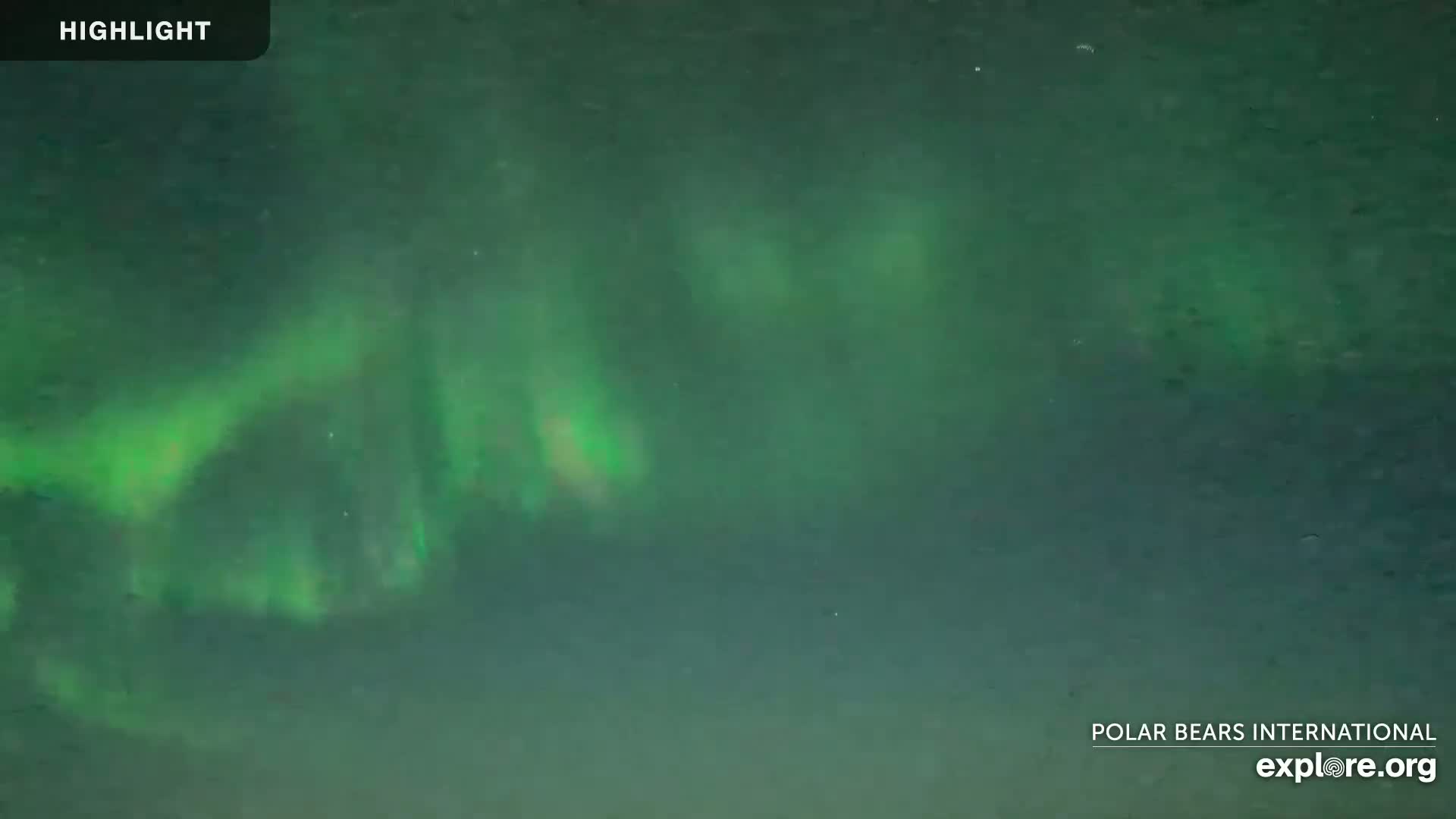 A nighttime, outdoor scene shows a green aurora borealis in the sky.