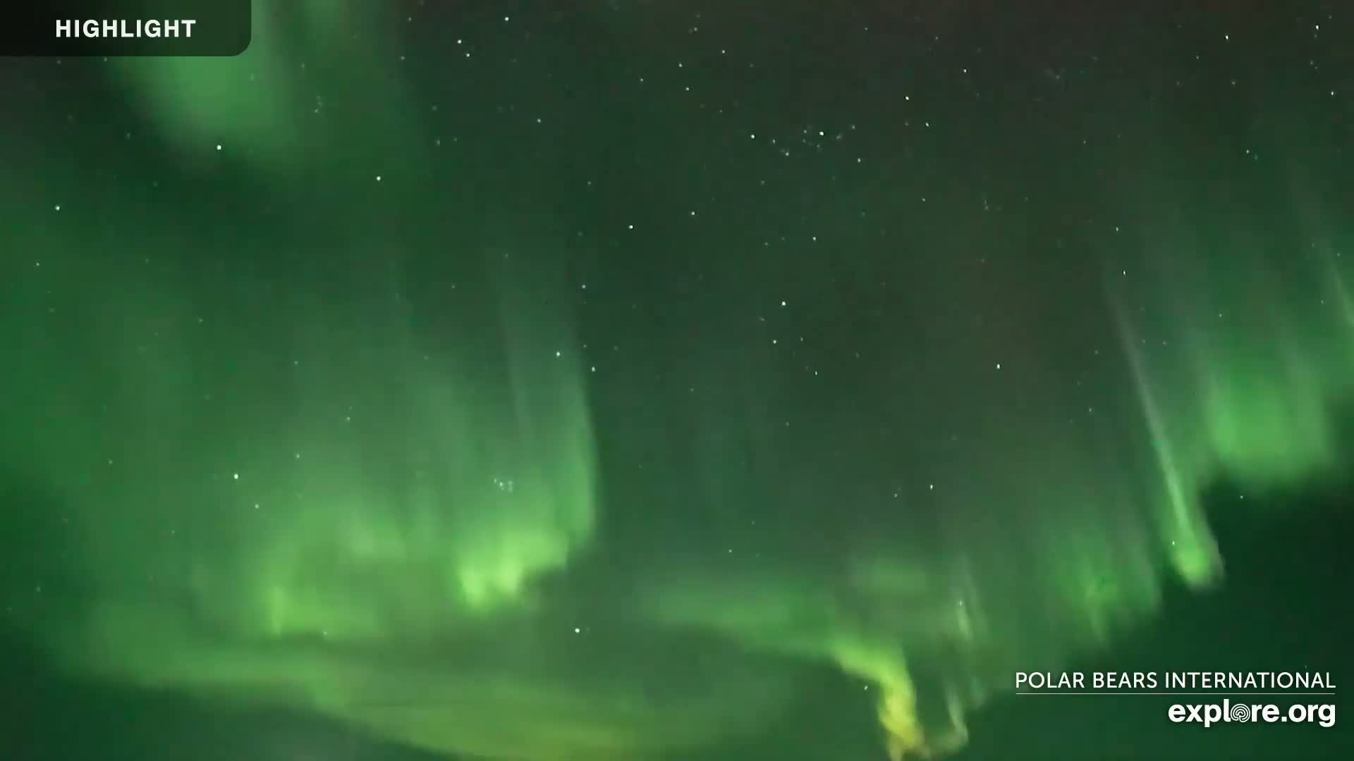 Churchill Marine Observatory, Northern Lights / Aurora Borealis / Stars View Live Cam - Churchill, Division No. 23, Northern Manitoba, Manitoba, Canada 