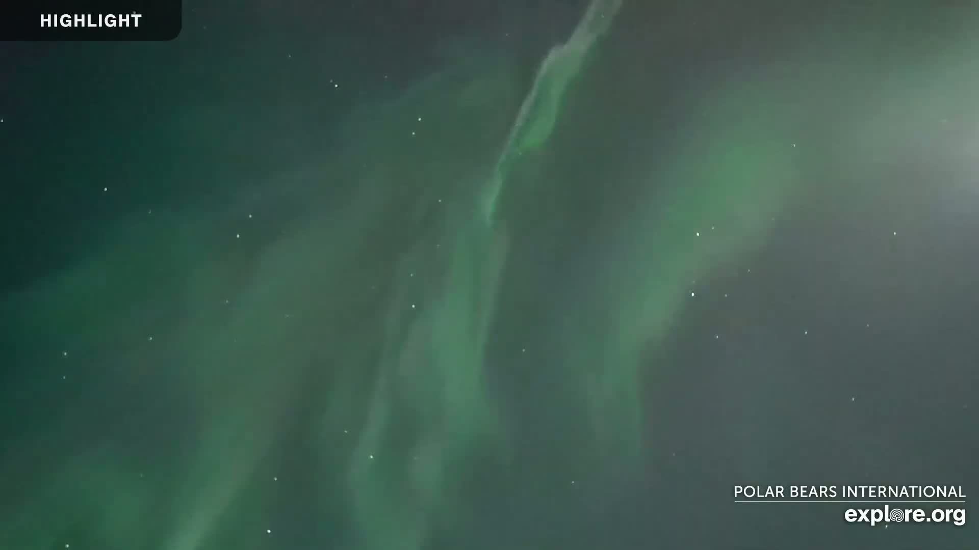 Churchill Marine Observatory, Northern Lights / Aurora Borealis / Stars View Live Cam - Churchill, Division No. 23, Northern Manitoba, Manitoba, Canada 