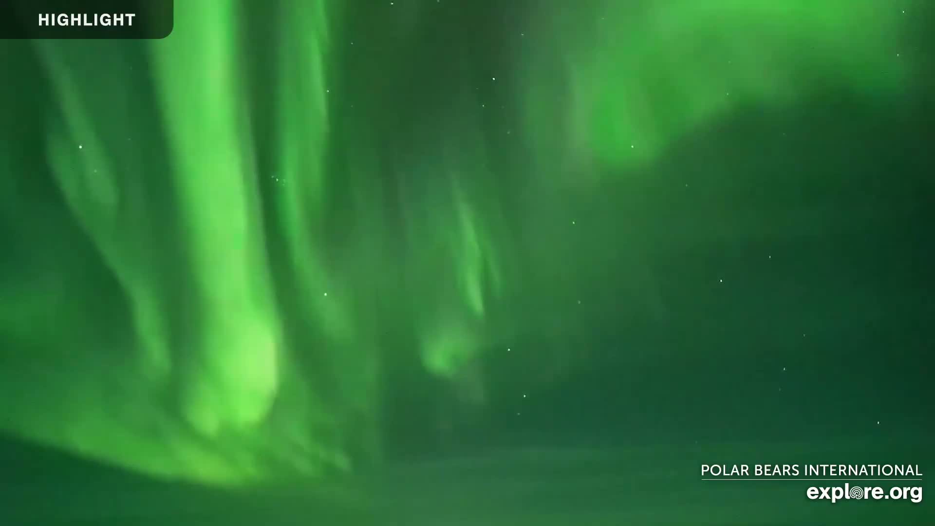 Churchill Marine Observatory, Northern Lights / Aurora Borealis / Stars View Live Cam - Churchill, Division No. 23, Northern Manitoba, Manitoba, Canada 