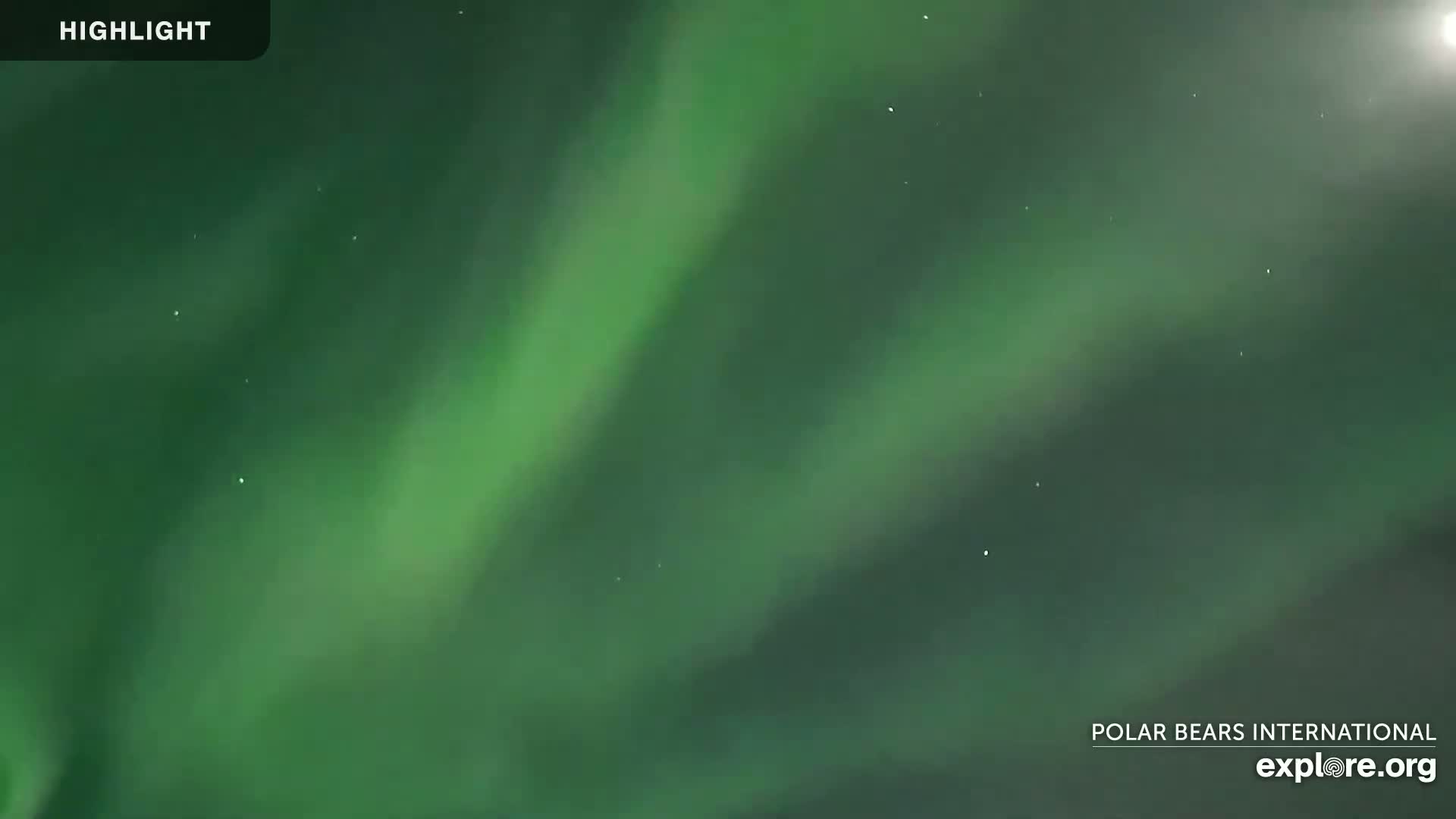 A nighttime scene shows a vibrant green aurora borealis in the sky.