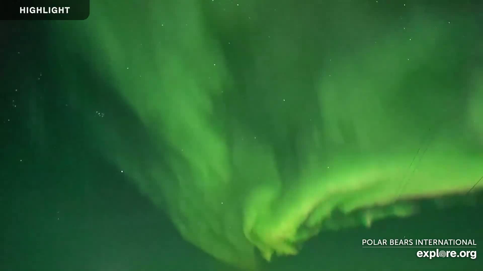A vibrant green aurora borealis fills a dark night sky.