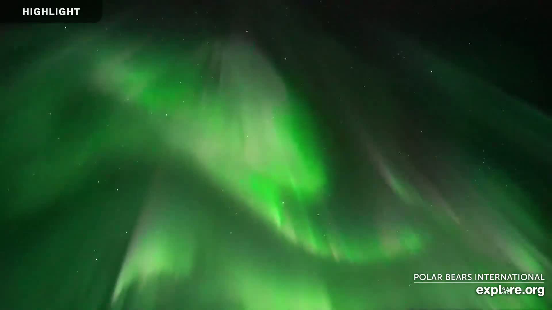 Churchill Marine Observatory, Northern Lights / Aurora Borealis / Stars View Live Cam - Churchill, Division No. 23, Northern Manitoba, Manitoba, Canada 