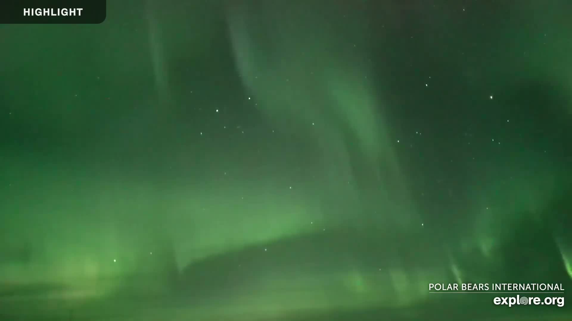 A vibrant green aurora borealis fills the night sky.