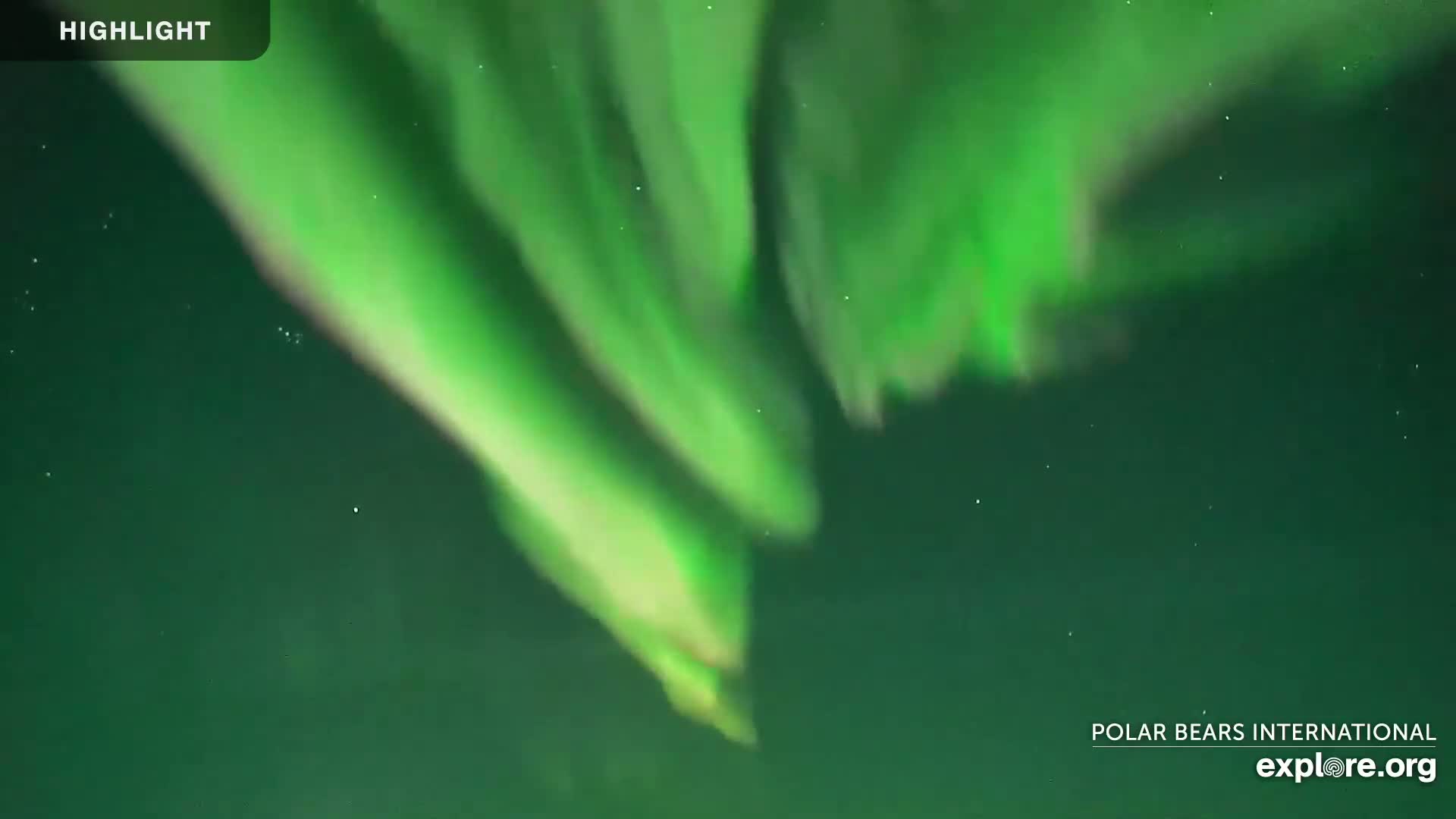 A vibrant green aurora borealis fills a dark night sky.