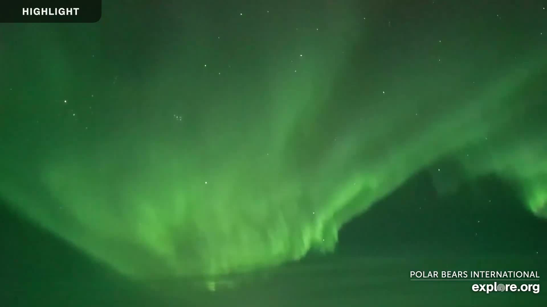 Churchill Marine Observatory, Northern Lights / Aurora Borealis / Stars View Live Cam - Churchill, Division No. 23, Northern Manitoba, Manitoba, Canada 