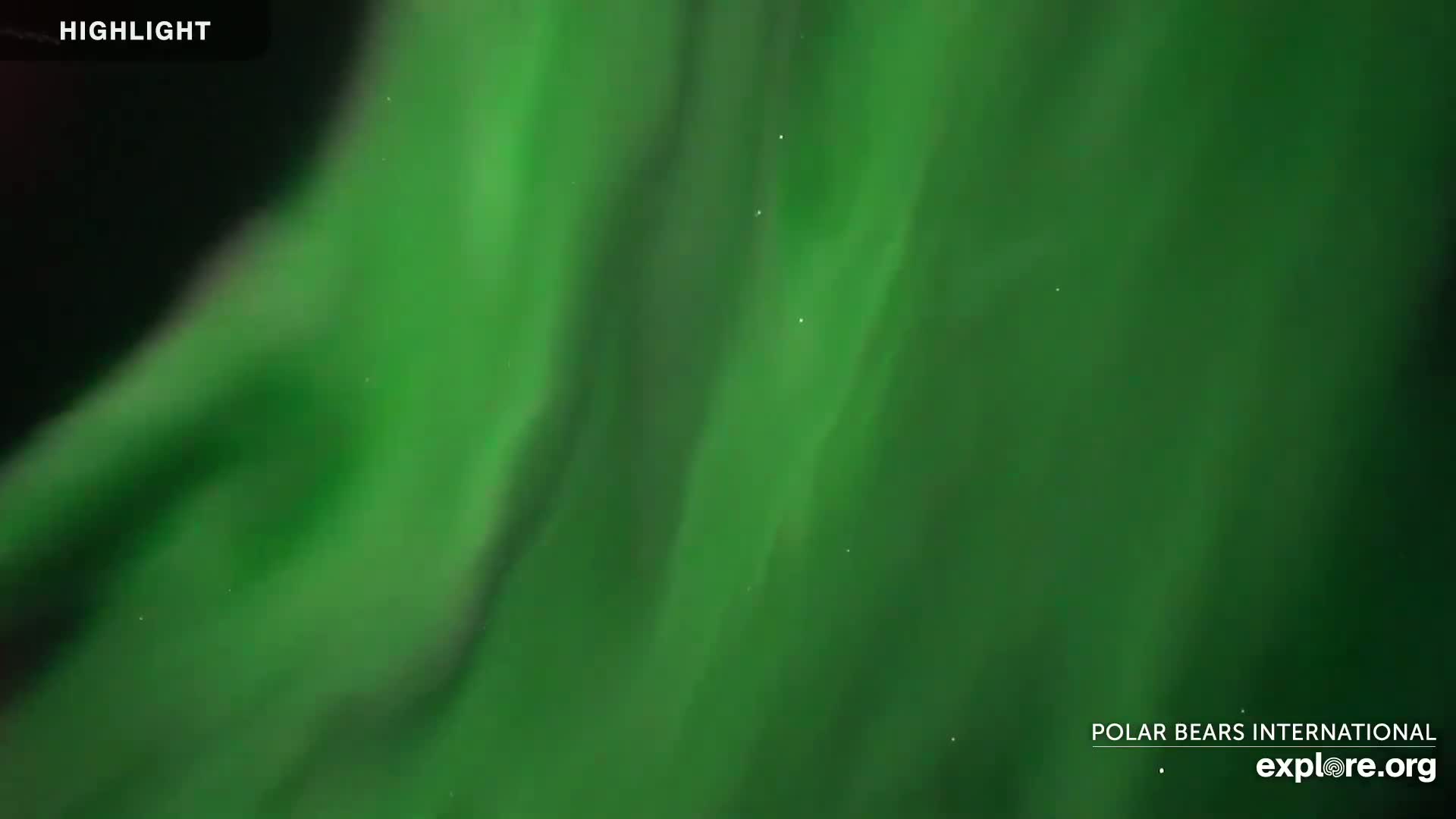 Churchill Marine Observatory, Northern Lights / Aurora Borealis / Stars View Live Cam - Churchill, Division No. 23, Northern Manitoba, Manitoba, Canada 