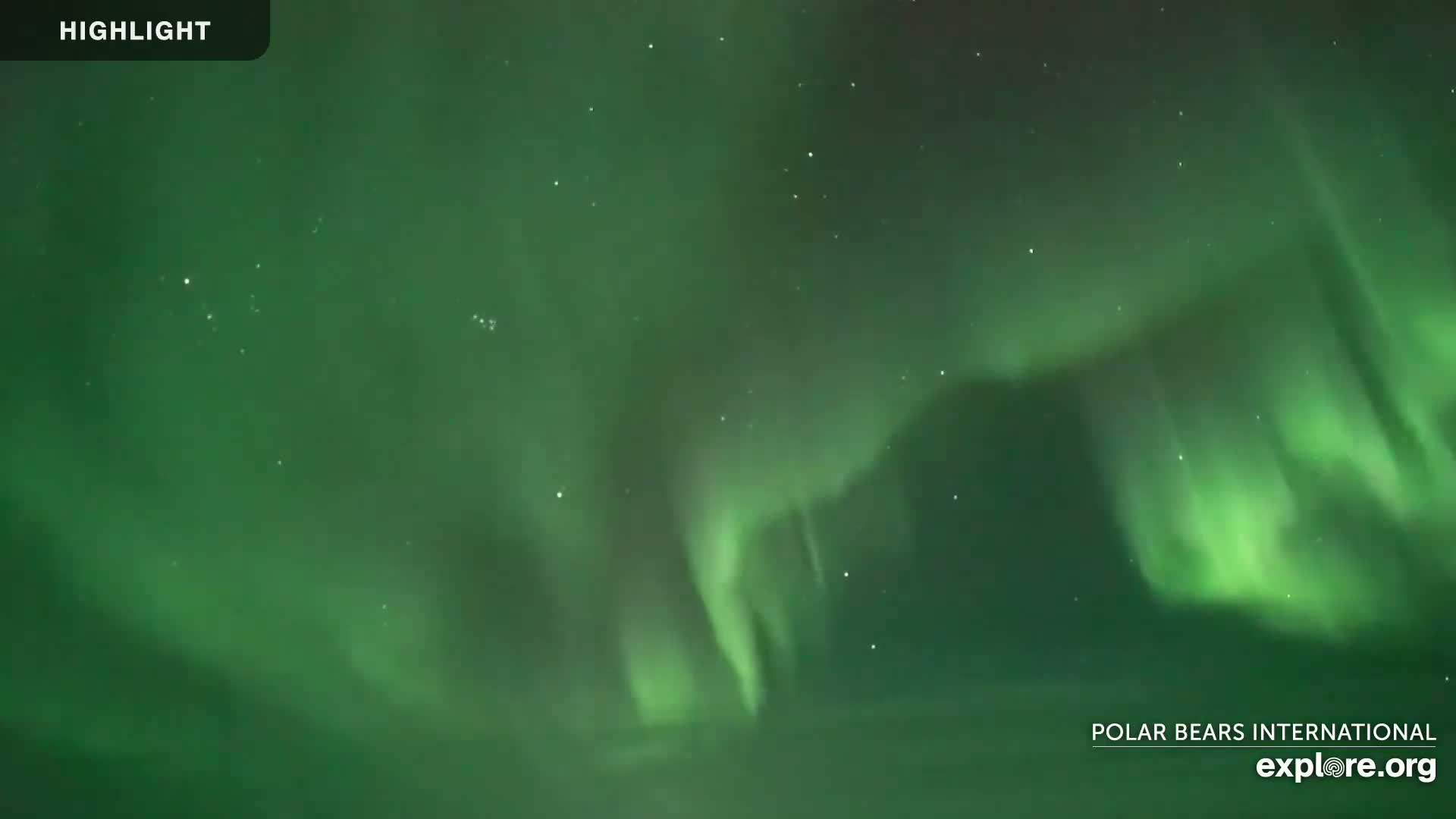 Churchill Marine Observatory, Northern Lights / Aurora Borealis / Stars View Live Cam - Churchill, Division No. 23, Northern Manitoba, Manitoba, Canada 