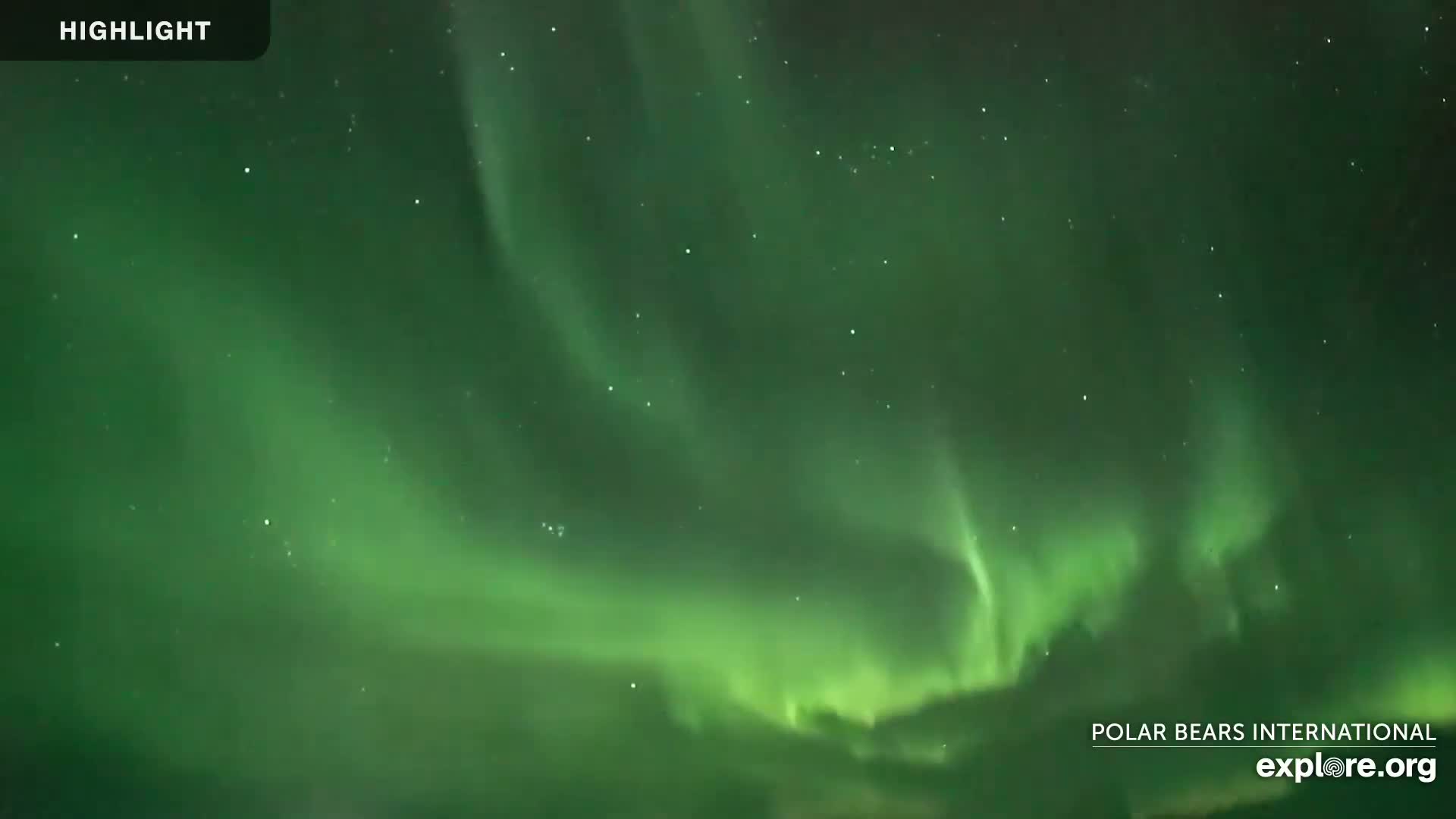 Churchill Marine Observatory, Northern Lights / Aurora Borealis / Stars View Live Cam - Churchill, Division No. 23, Northern Manitoba, Manitoba, Canada 