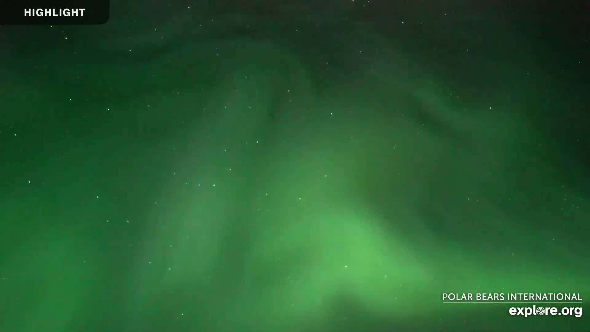 Churchill Marine Observatory, Northern Lights / Aurora Borealis / Stars View Live Cam - Churchill, Division No. 23, Northern Manitoba, Manitoba, Canada 