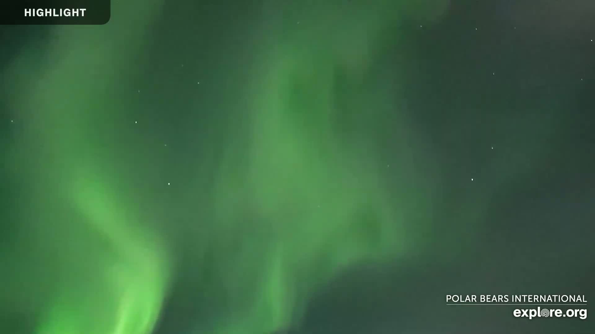 Churchill Marine Observatory, Northern Lights / Aurora Borealis / Stars View Live Cam - Churchill, Division No. 23, Northern Manitoba, Manitoba, Canada 