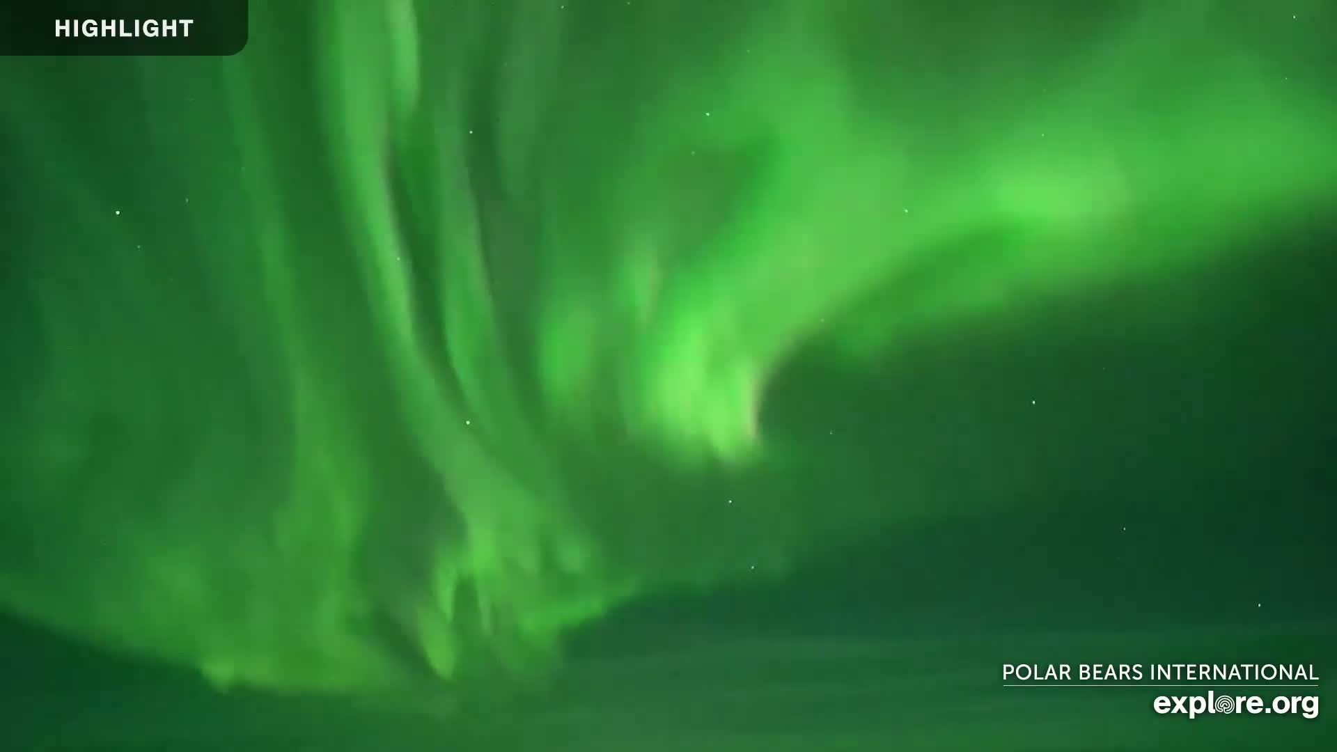 Churchill Marine Observatory, Northern Lights / Aurora Borealis / Stars View Live Cam - Churchill, Division No. 23, Northern Manitoba, Manitoba, Canada 
