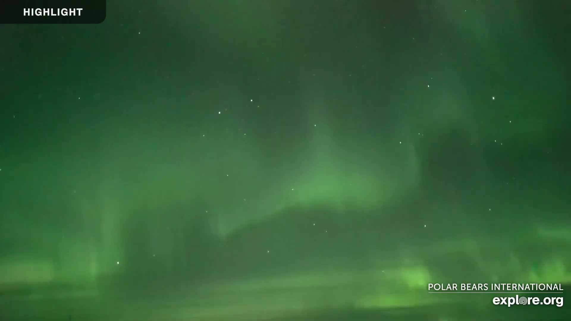 A nighttime scene shows a vibrant green aurora borealis in the sky.