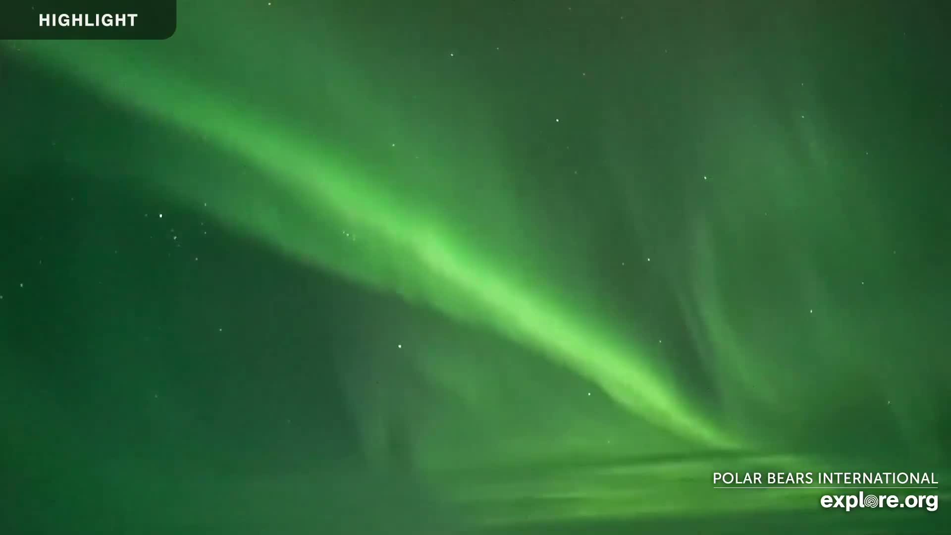 Churchill Marine Observatory, Northern Lights / Aurora Borealis / Stars View Live Cam - Churchill, Division No. 23, Northern Manitoba, Manitoba, Canada 