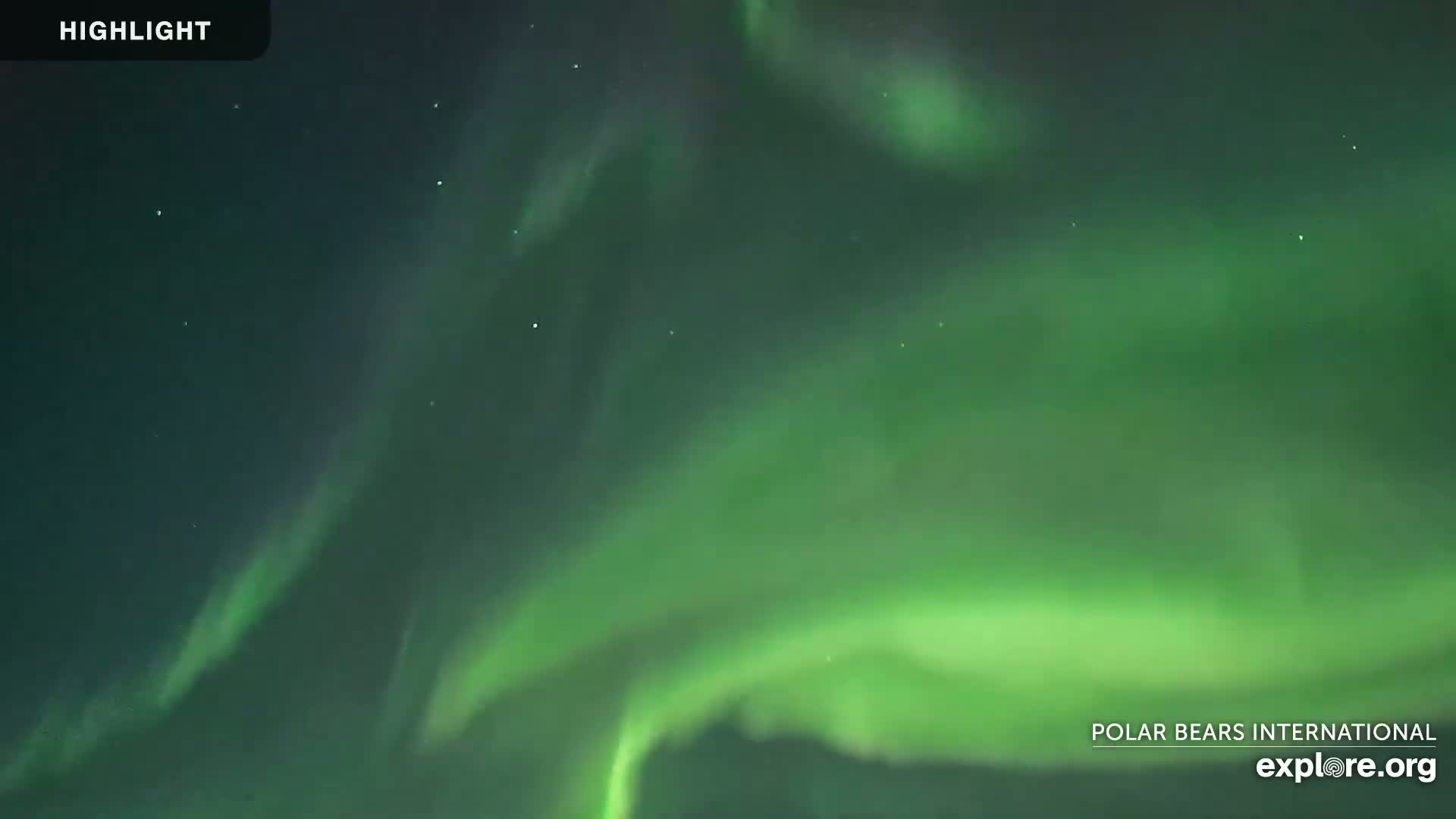 Churchill Marine Observatory, Northern Lights / Aurora Borealis / Stars View Live Cam - Churchill, Division No. 23, Northern Manitoba, Manitoba, Canada 
