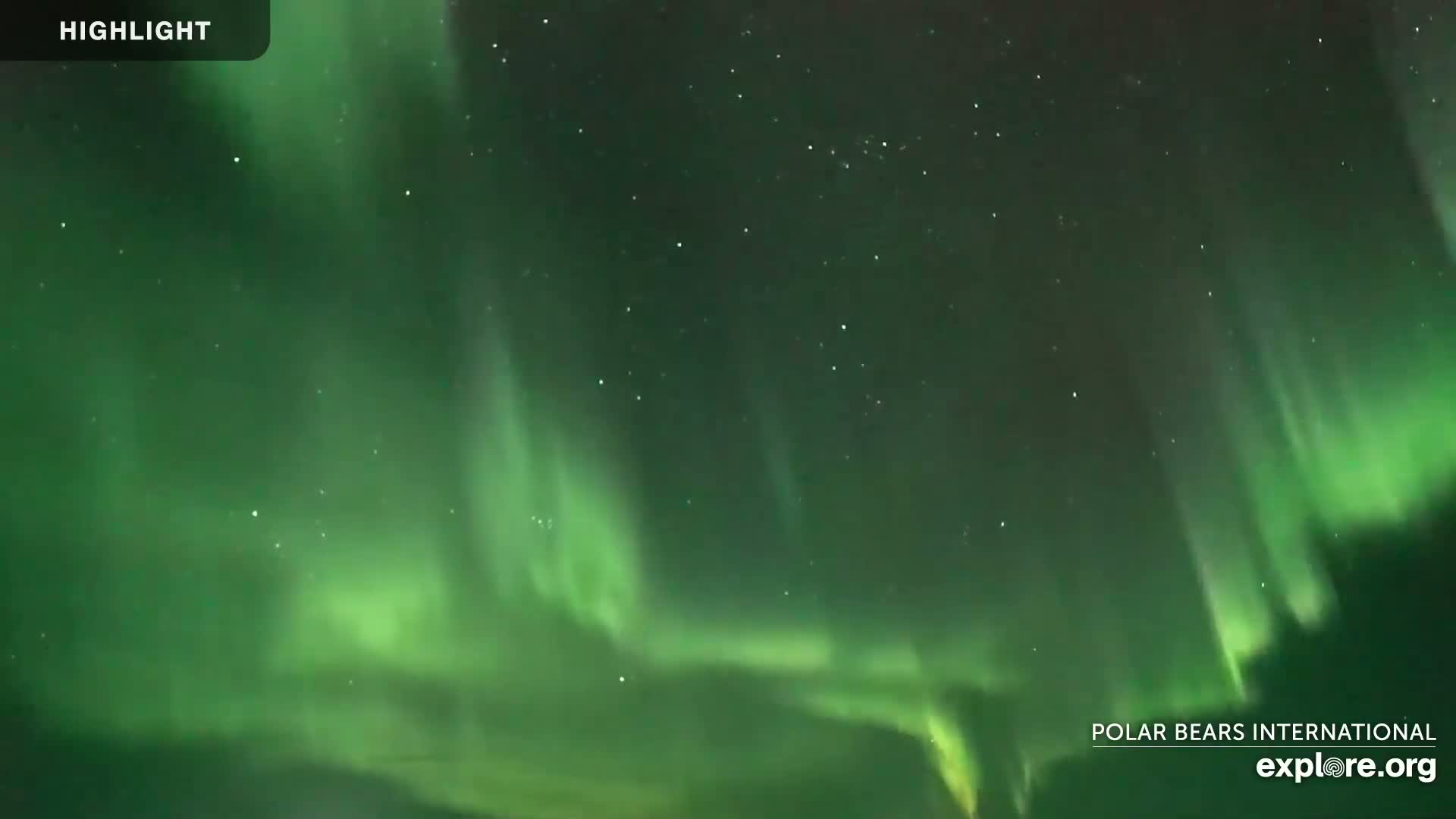 Churchill Marine Observatory, Northern Lights / Aurora Borealis / Stars View Live Cam - Churchill, Division No. 23, Northern Manitoba, Manitoba, Canada 