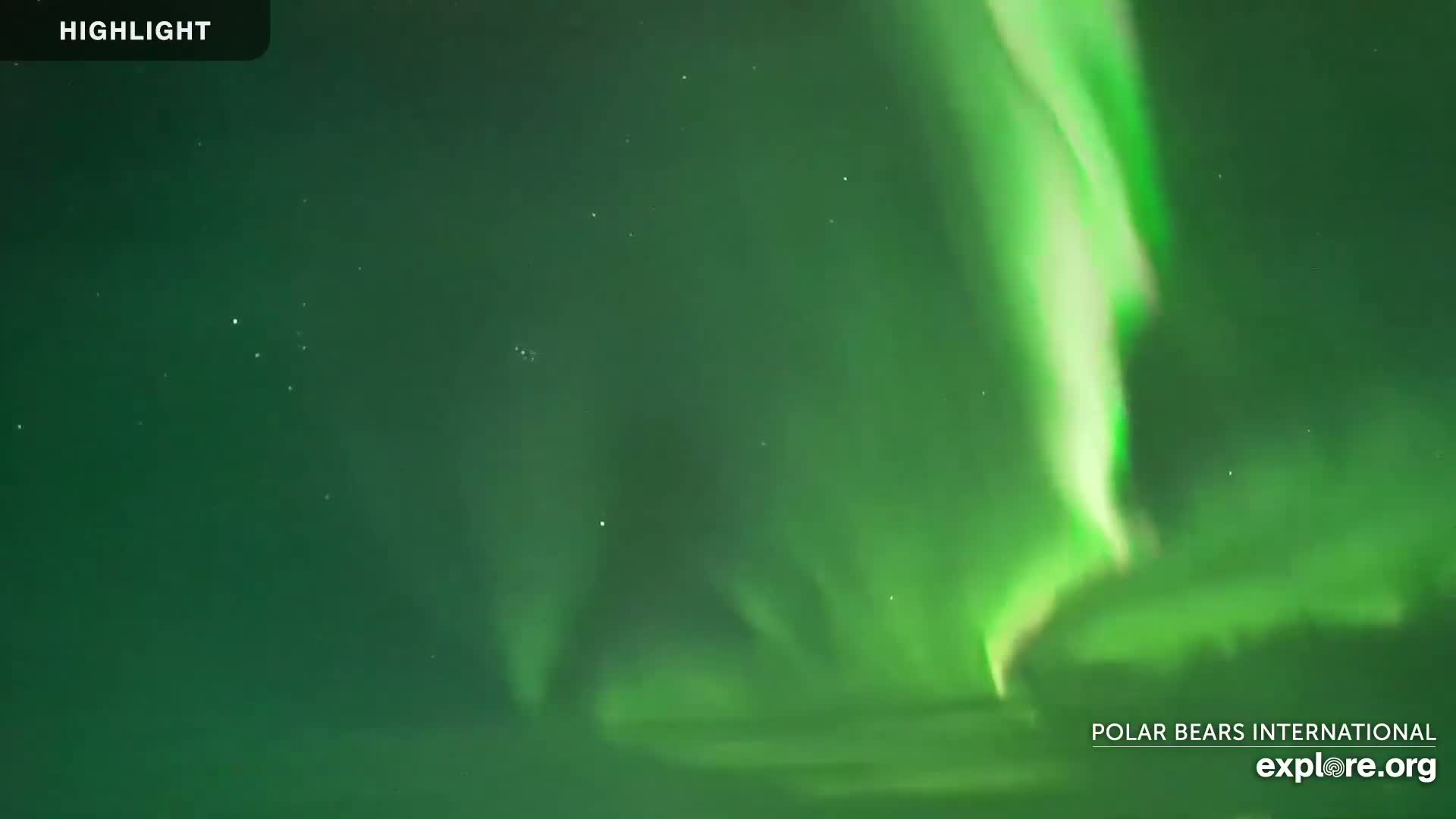 Churchill Marine Observatory, Northern Lights / Aurora Borealis / Stars View Live Cam - Churchill, Division No. 23, Northern Manitoba, Manitoba, Canada 