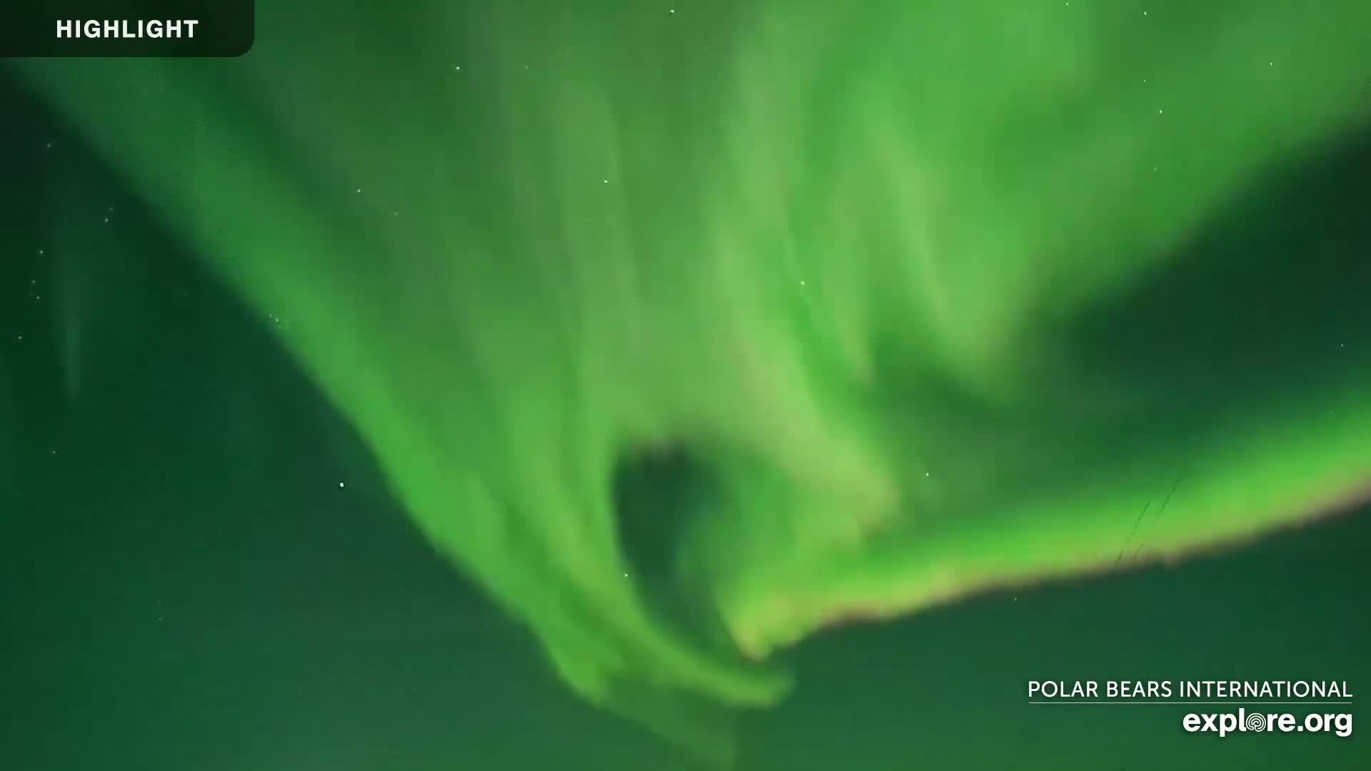 Churchill Marine Observatory, Northern Lights / Aurora Borealis / Stars View Live Cam - Churchill, Division No. 23, Northern Manitoba, Manitoba, Canada 