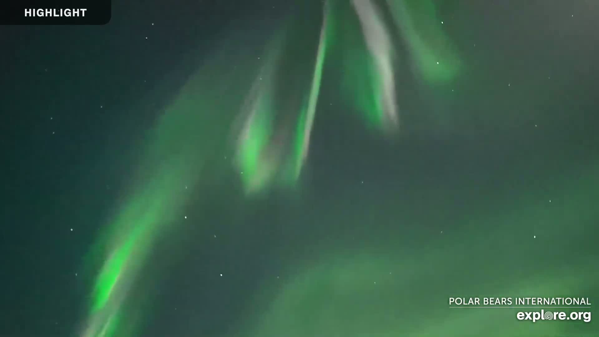 Churchill Marine Observatory, Northern Lights / Aurora Borealis / Stars View Live Cam - Churchill, Division No. 23, Northern Manitoba, Manitoba, Canada 