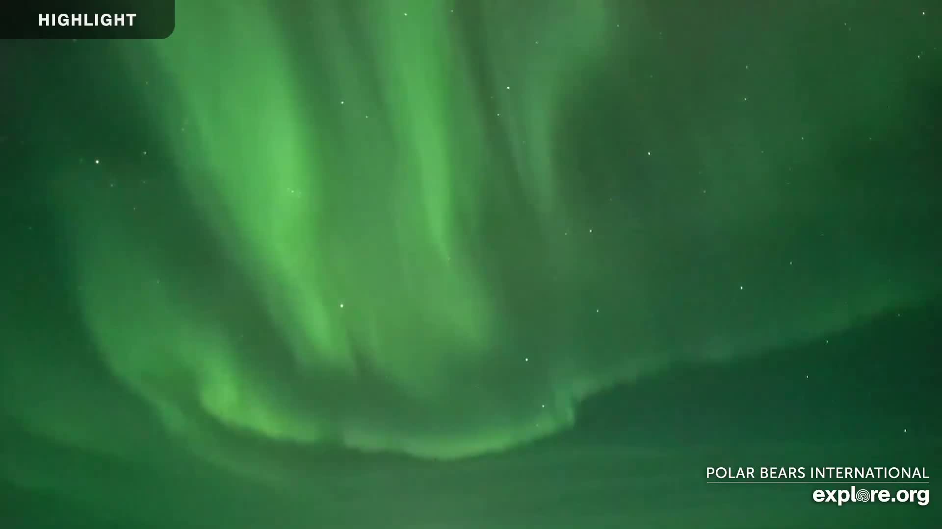 A vibrant green aurora borealis fills the night sky.