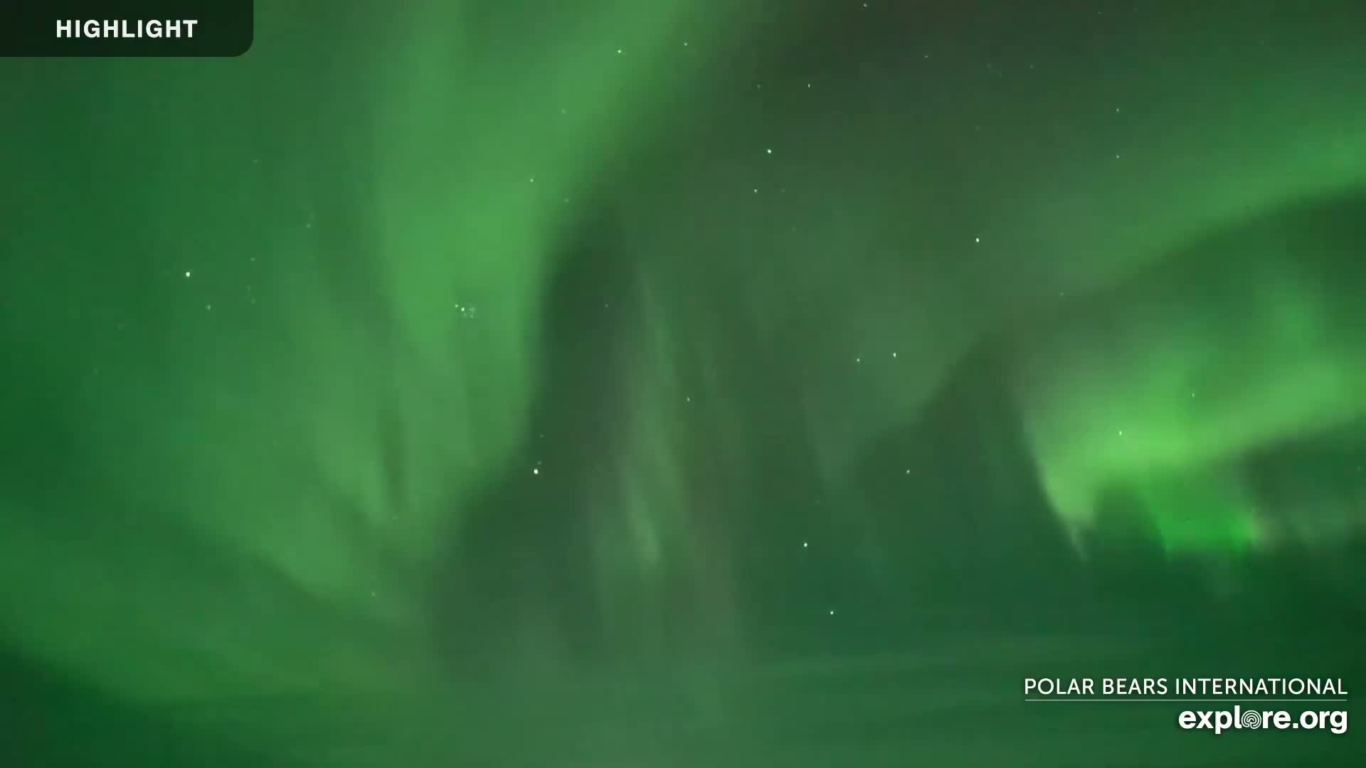 A vibrant green aurora borealis fills the night sky.