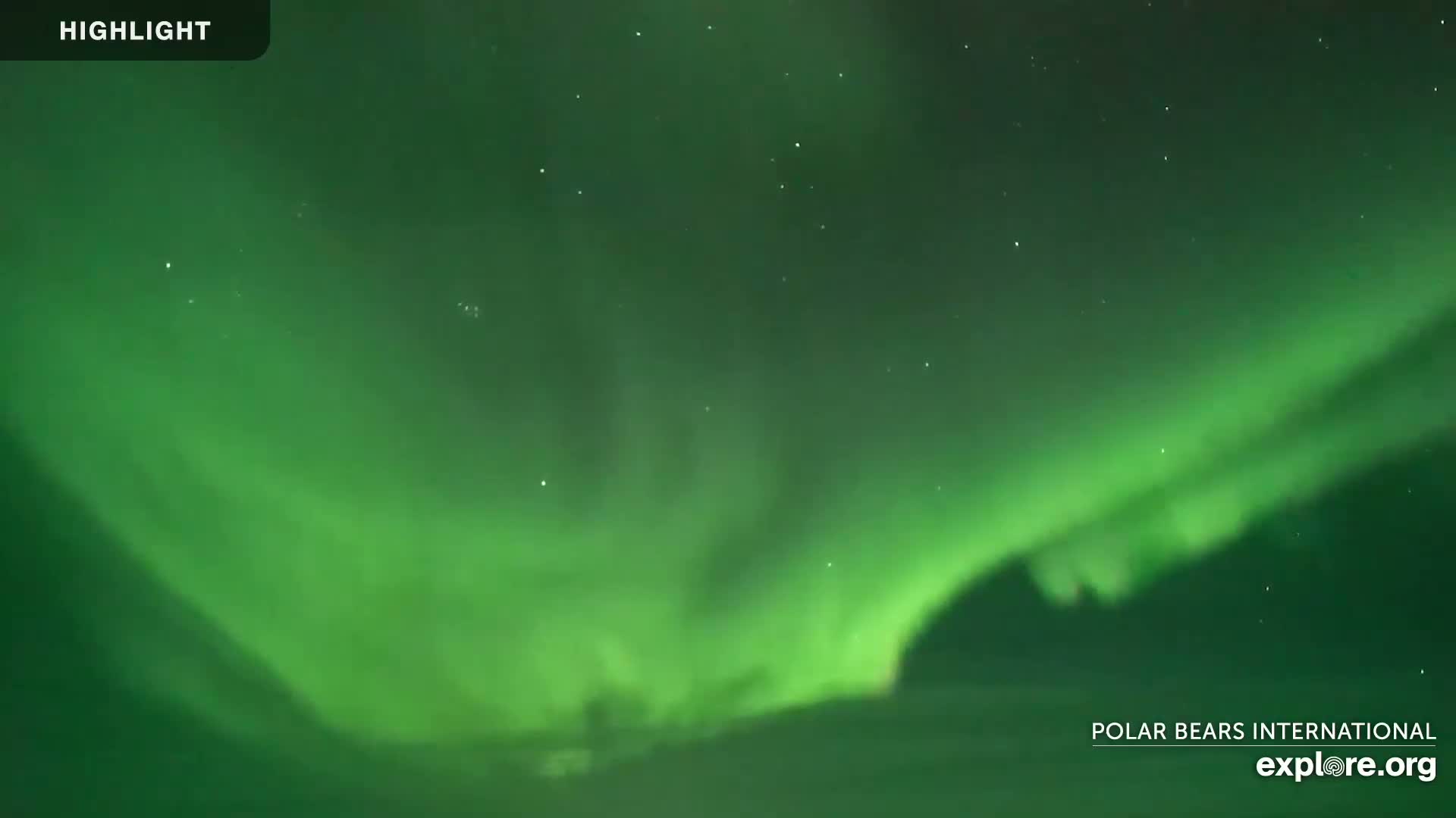 Churchill Marine Observatory, Northern Lights / Aurora Borealis / Stars View Live Cam - Churchill, Division No. 23, Northern Manitoba, Manitoba, Canada 