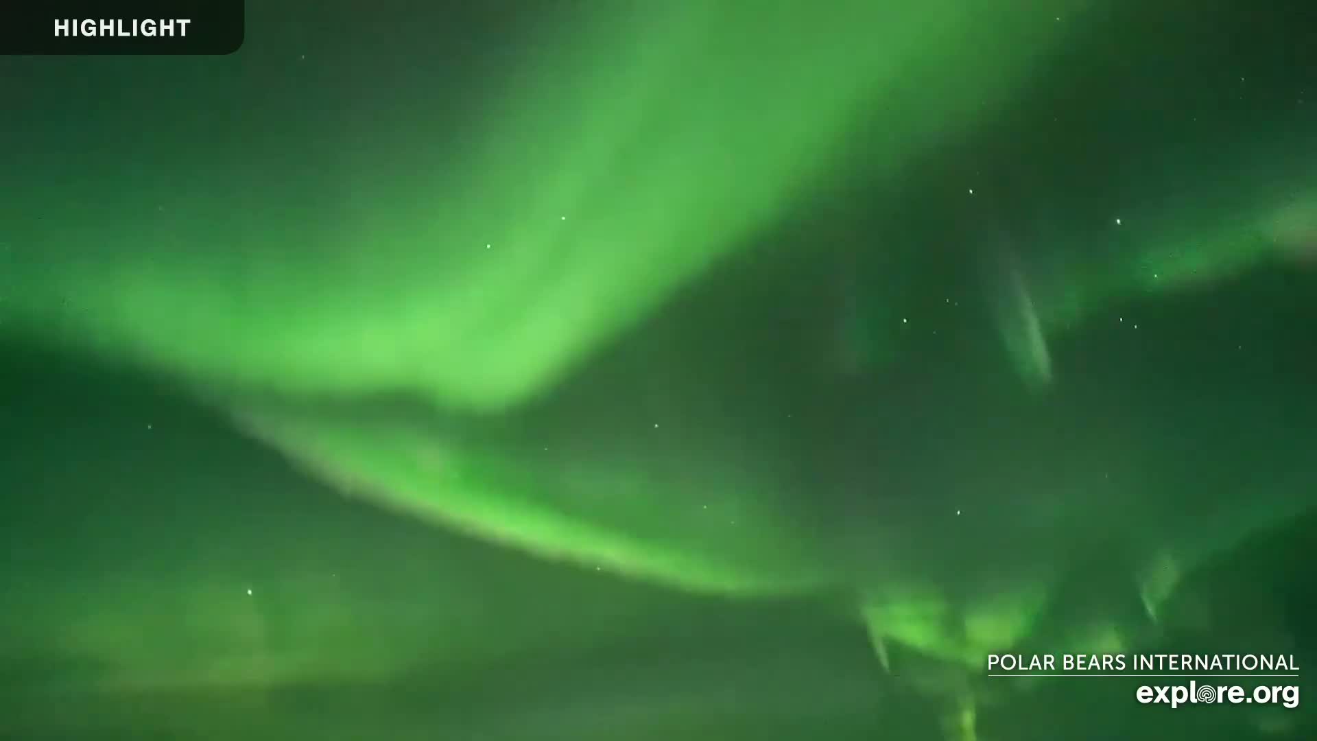 Churchill Marine Observatory, Northern Lights / Aurora Borealis / Stars View Live Cam - Churchill, Division No. 23, Northern Manitoba, Manitoba, Canada 