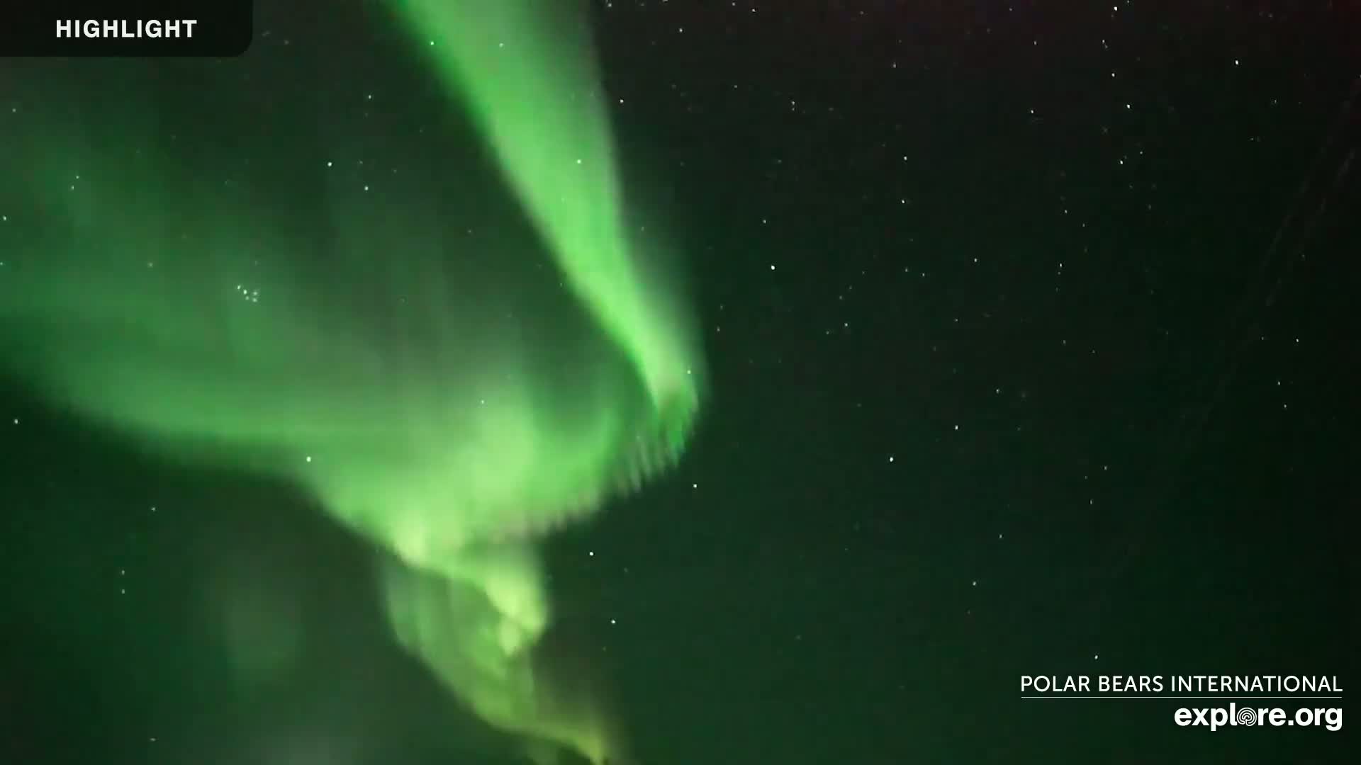 Churchill Marine Observatory, Northern Lights / Aurora Borealis / Stars View Live Cam - Churchill, Division No. 23, Northern Manitoba, Manitoba, Canada 