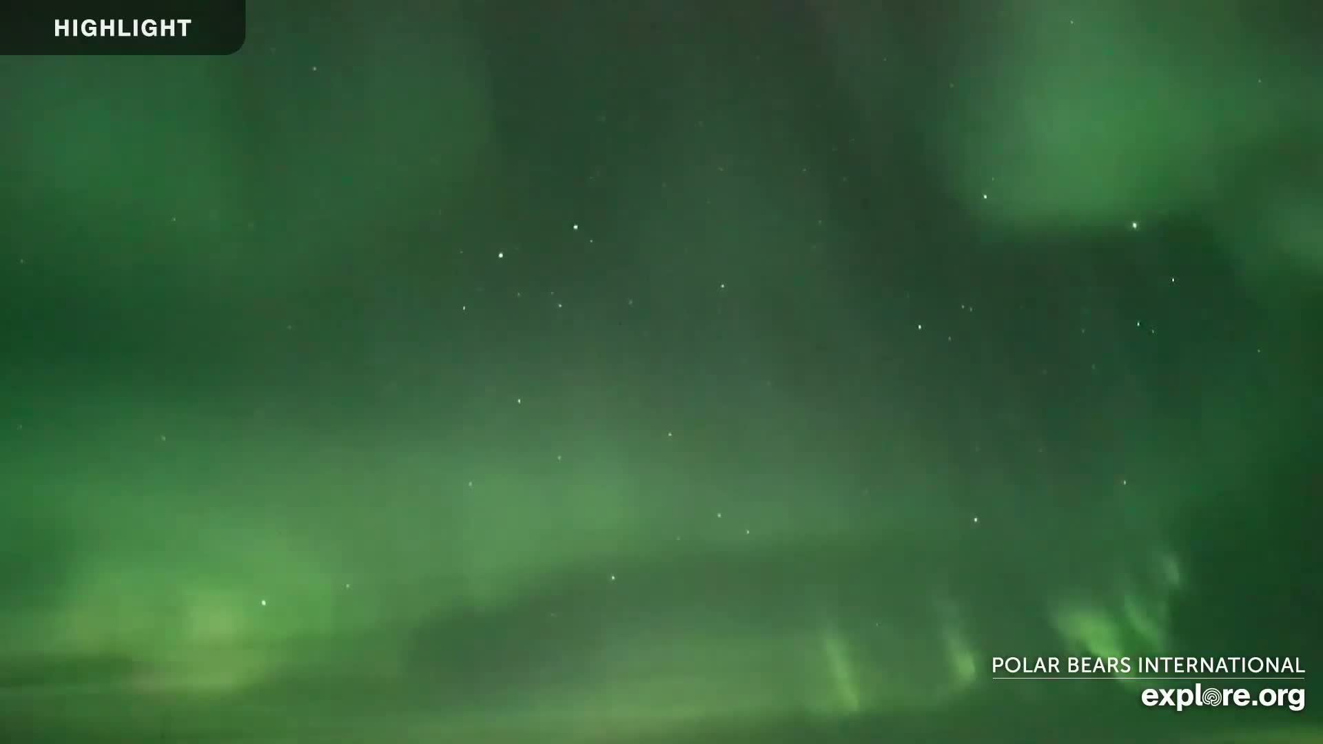 Churchill Marine Observatory, Northern Lights / Aurora Borealis / Stars View Live Cam - Churchill, Division No. 23, Northern Manitoba, Manitoba, Canada 