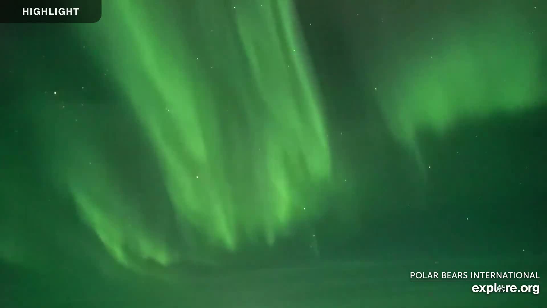 Churchill Marine Observatory, Northern Lights / Aurora Borealis / Stars View Live Cam - Churchill, Division No. 23, Northern Manitoba, Manitoba, Canada 