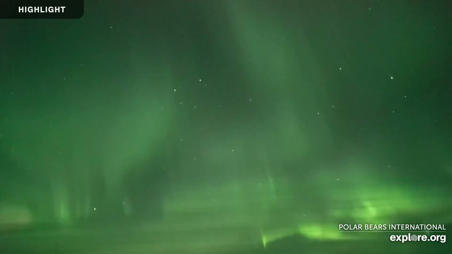 Churchill Marine Observatory, Northern Lights / Aurora Borealis / Stars View Live Cam - Churchill, Division No. 23, Northern Manitoba, Manitoba, Canada 
