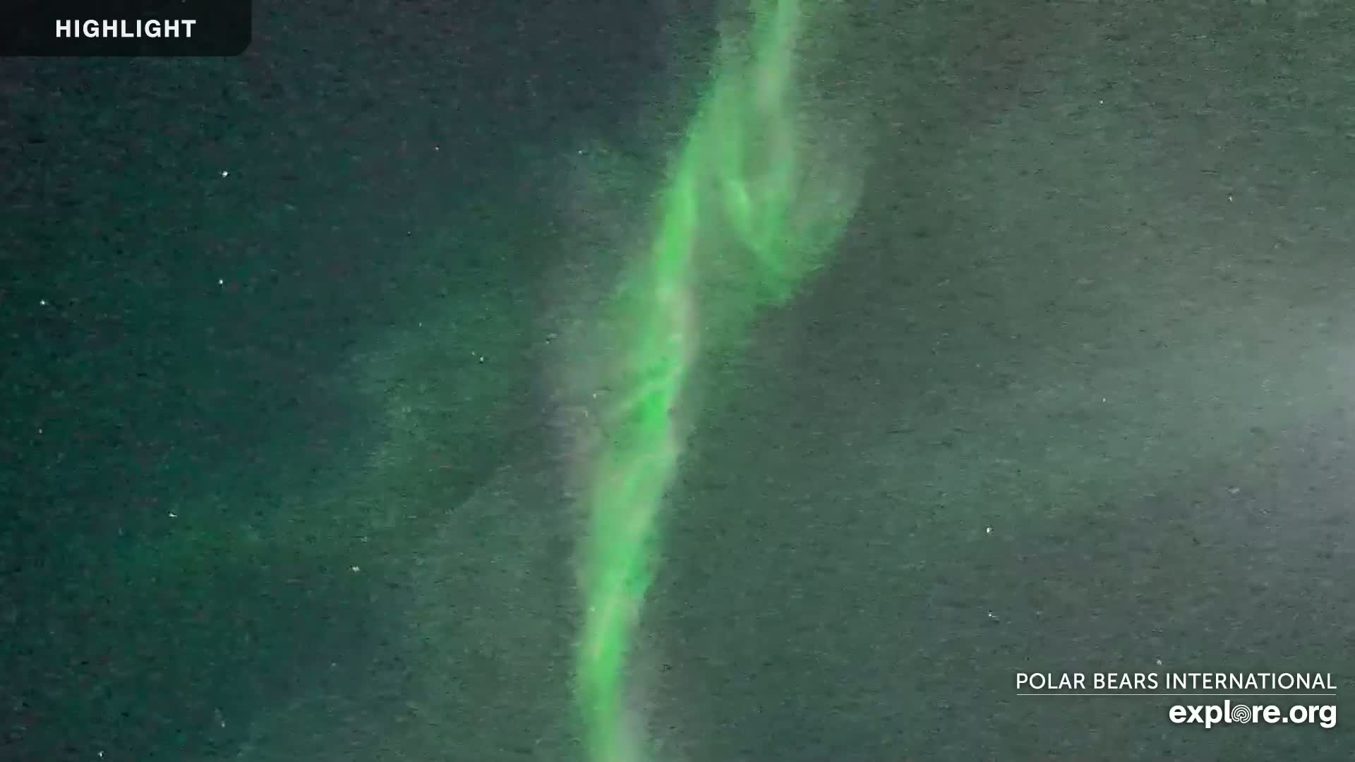 Churchill Marine Observatory, Northern Lights / Aurora Borealis / Stars View Live Cam - Churchill, Division No. 23, Northern Manitoba, Manitoba, Canada 