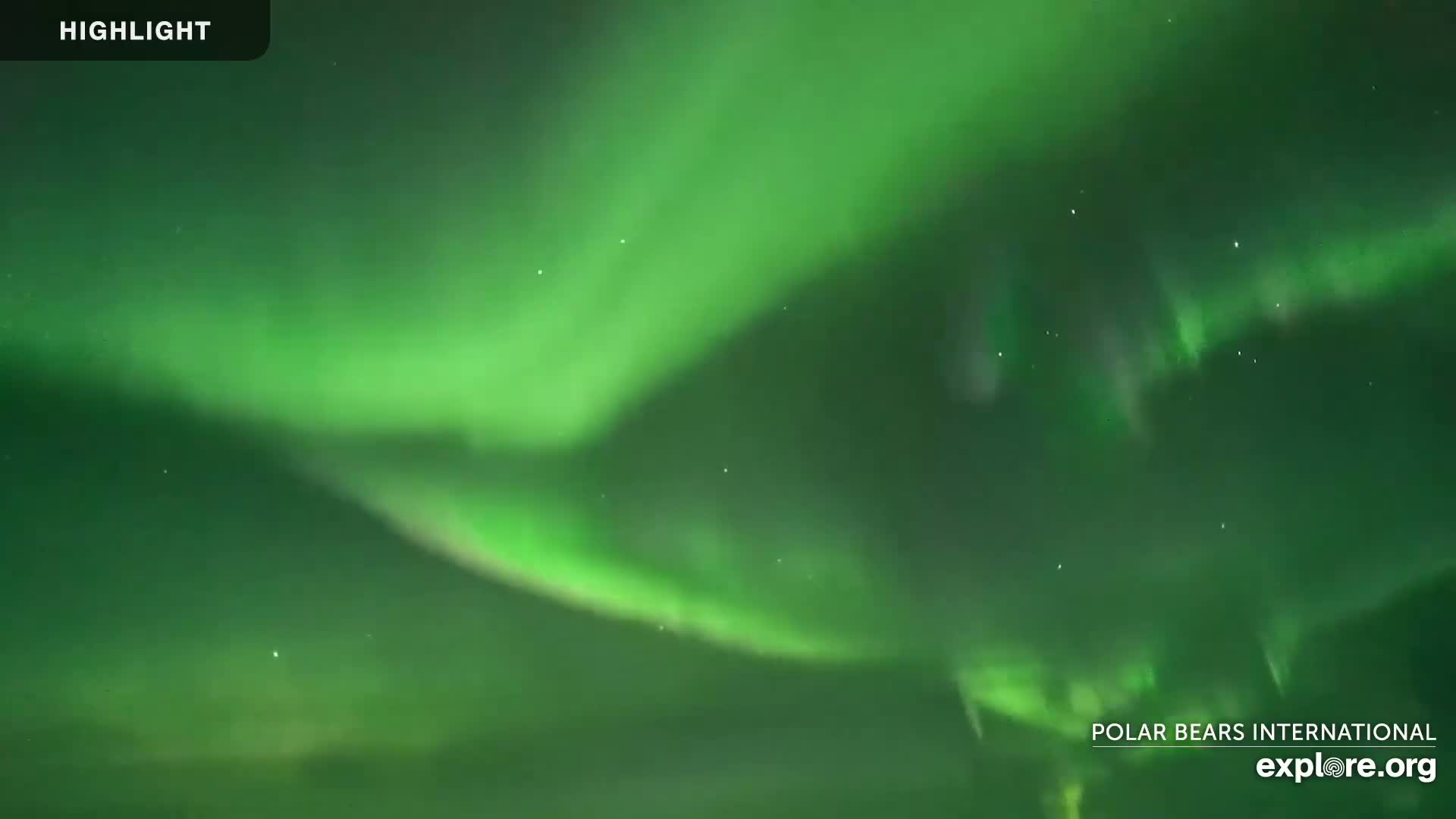 Churchill Marine Observatory, Northern Lights / Aurora Borealis / Stars View Live Cam - Churchill, Division No. 23, Northern Manitoba, Manitoba, Canada 