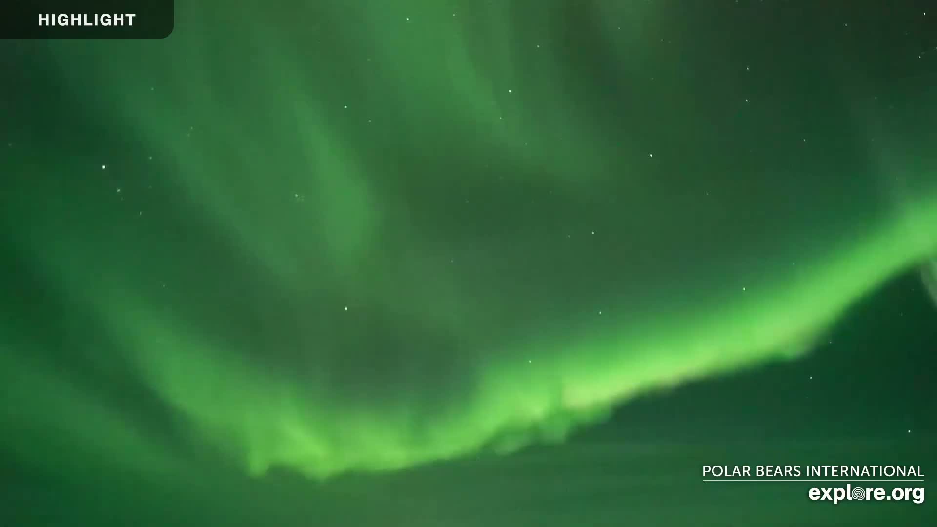 Churchill Marine Observatory, Northern Lights / Aurora Borealis / Stars View Live Cam - Churchill, Division No. 23, Northern Manitoba, Manitoba, Canada 