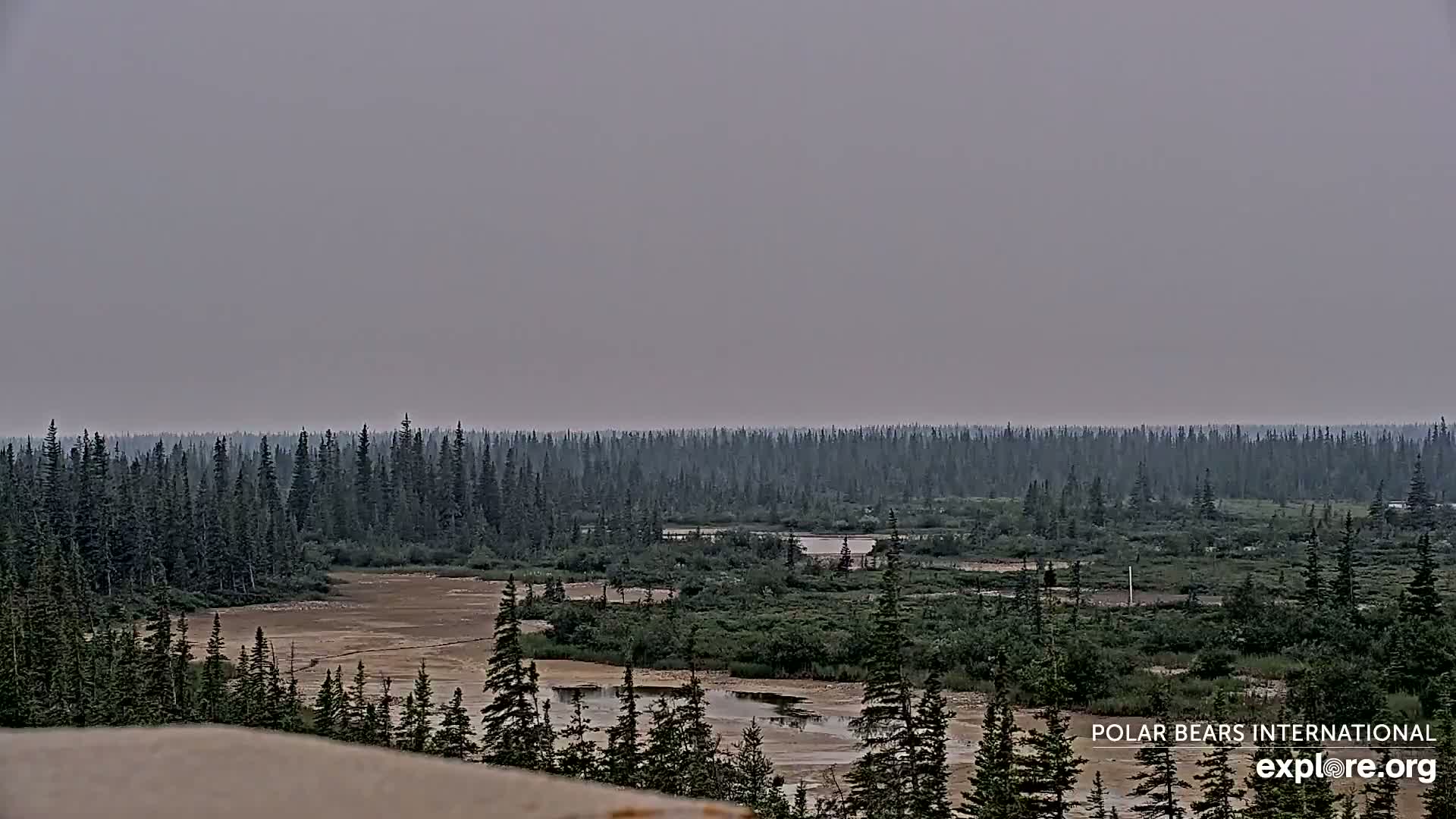 Churchill Marine Observatory, Northern Lights / Aurora Borealis / Stars View Live Cam - Churchill, Division No. 23, Northern Manitoba, Manitoba, Canada 