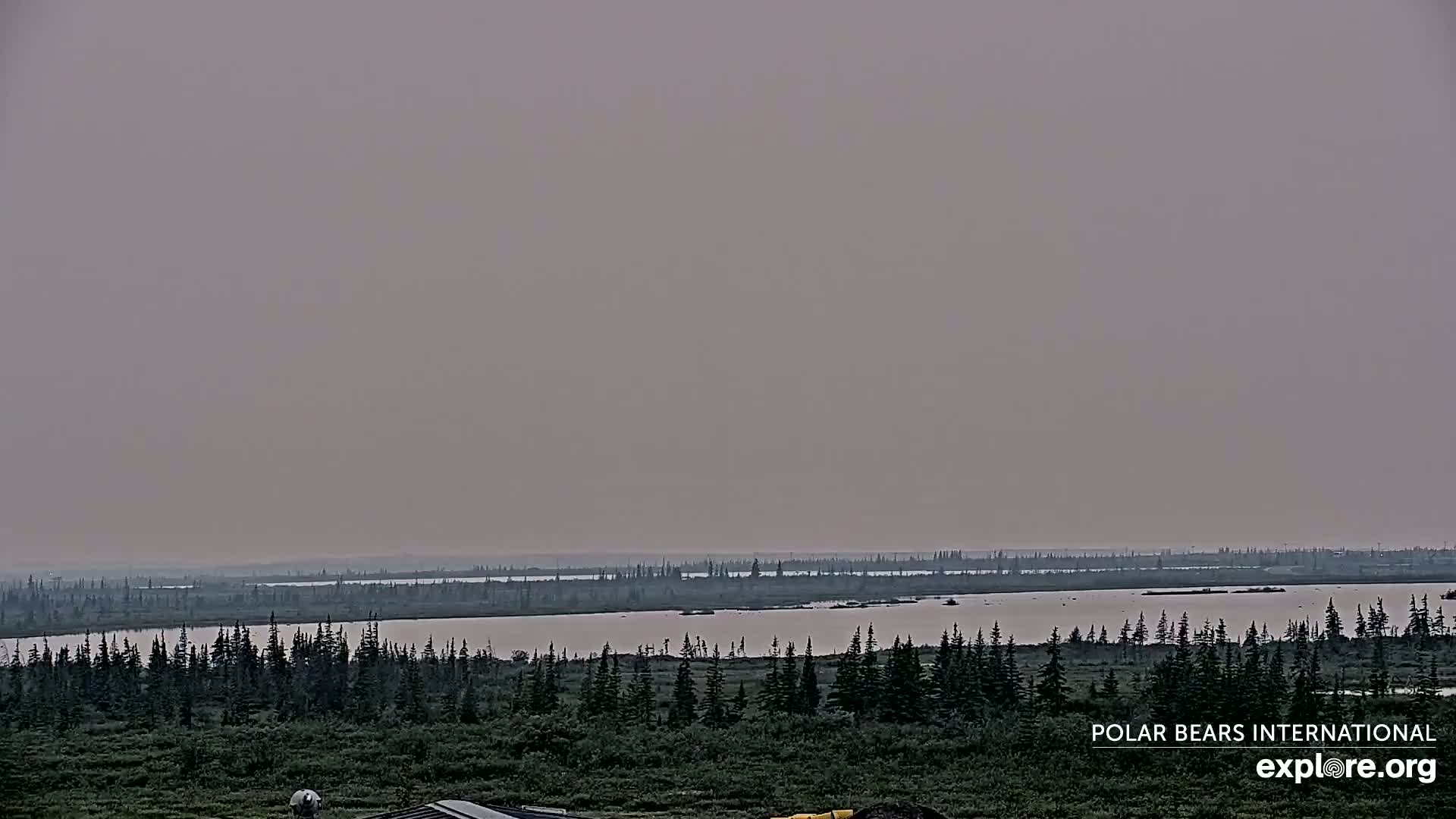 Churchill Marine Observatory, Northern Lights / Aurora Borealis / Stars View Live Cam - Churchill, Division No. 23, Northern Manitoba, Manitoba, Canada 