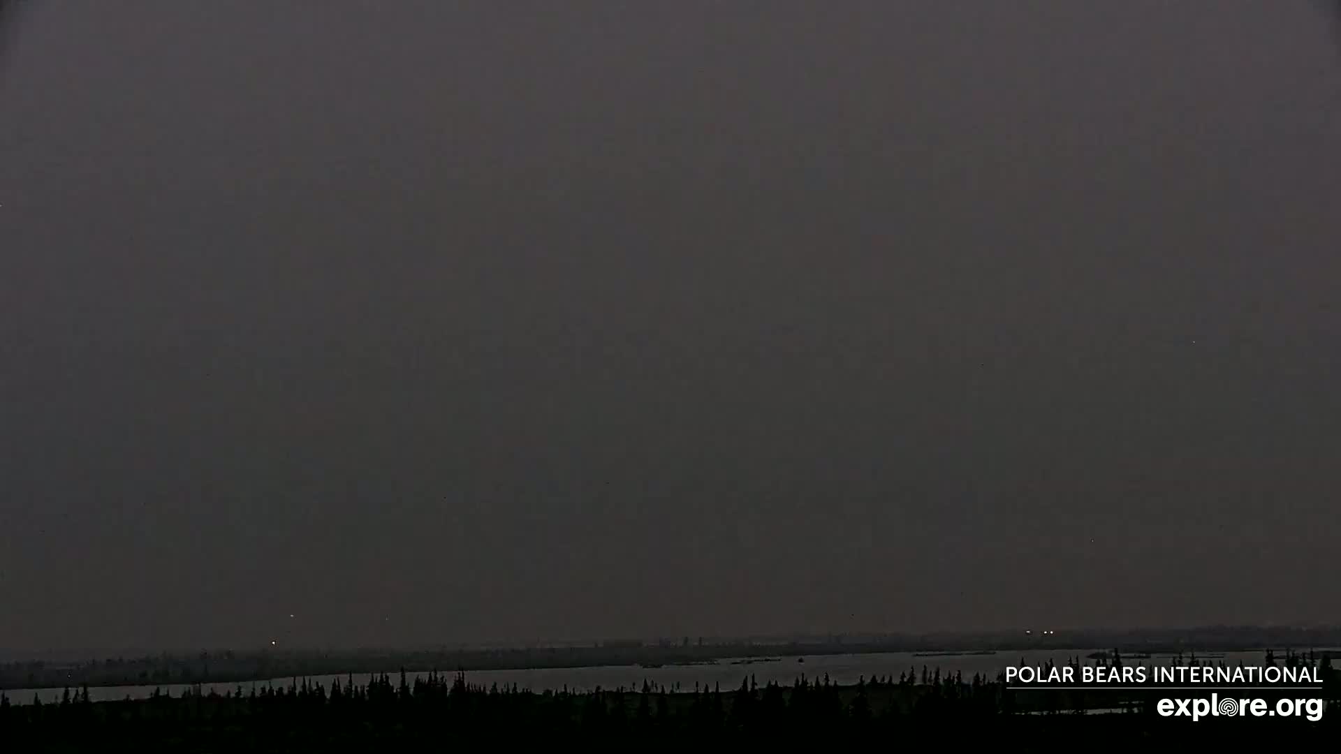 Churchill Marine Observatory, Northern Lights / Aurora Borealis / Stars View Live Cam - Churchill, Division No. 23, Northern Manitoba, Manitoba, Canada 