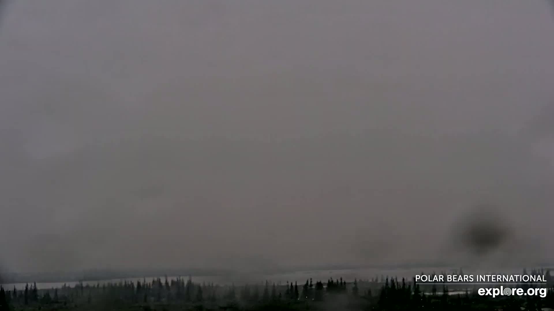 Churchill Marine Observatory, Northern Lights / Aurora Borealis / Stars View Live Cam - Churchill, Division No. 23, Northern Manitoba, Manitoba, Canada 