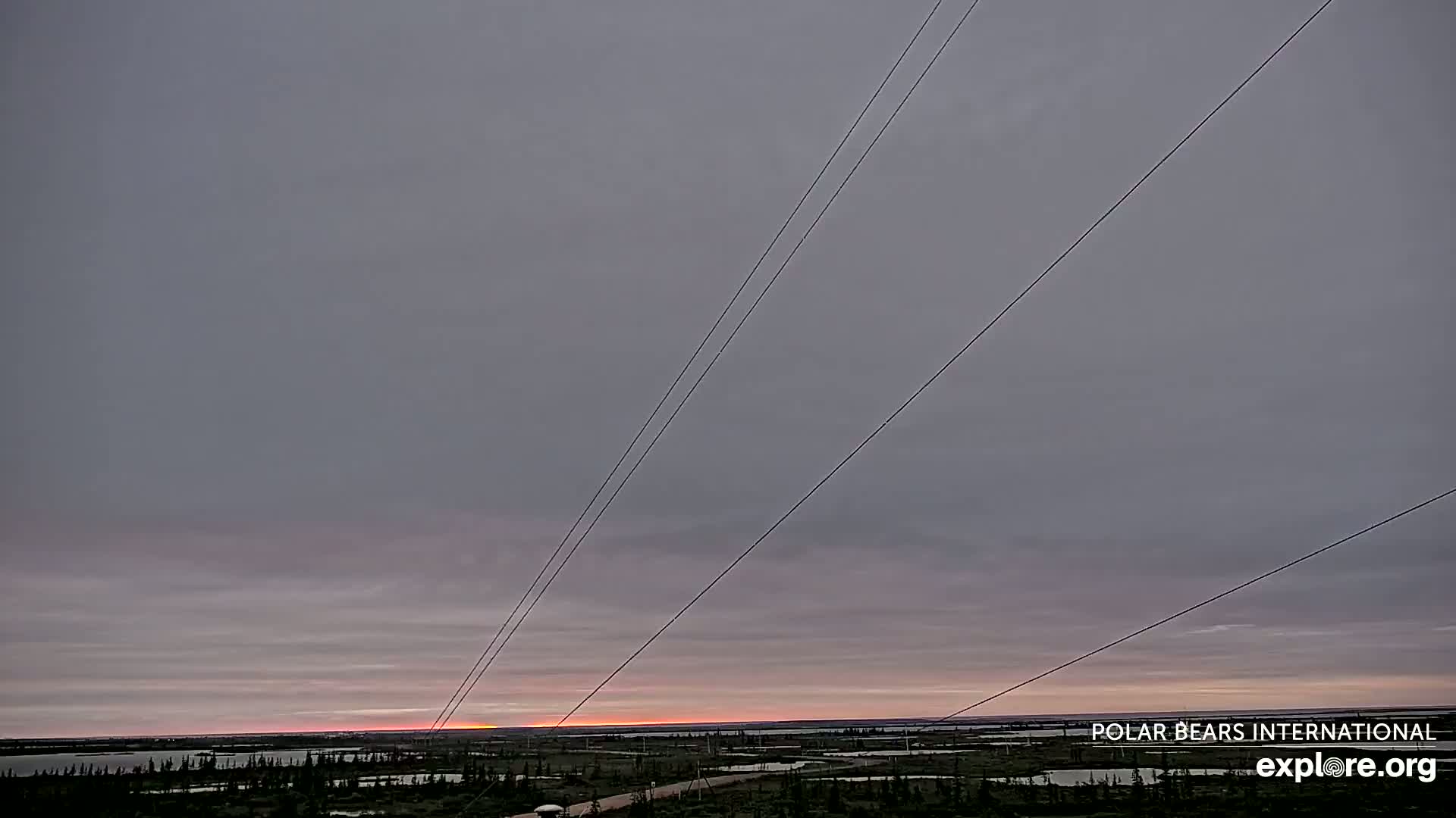 Churchill Marine Observatory, Northern Lights / Aurora Borealis / Stars View Live Cam - Churchill, Division No. 23, Northern Manitoba, Manitoba, Canada 
