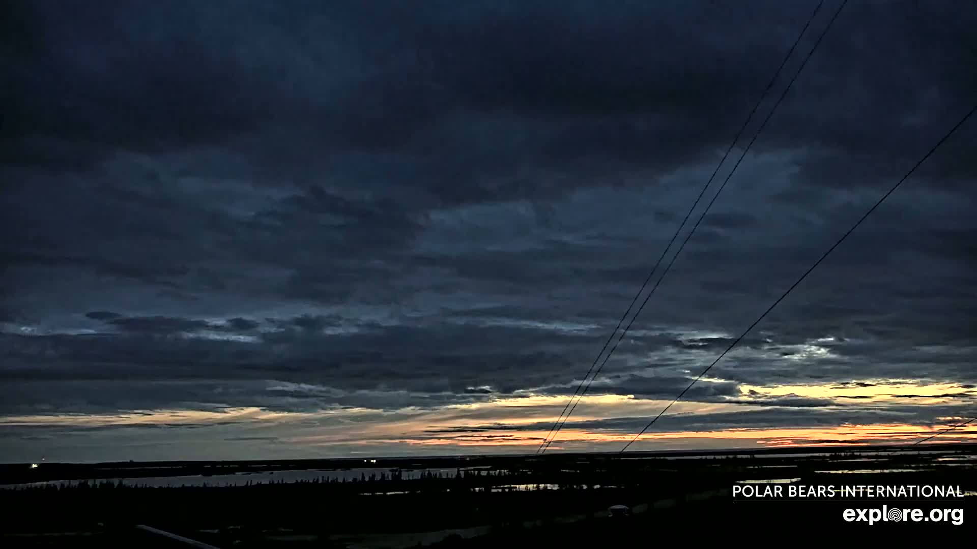 Churchill Marine Observatory, Northern Lights / Aurora Borealis / Stars View Live Cam - Churchill, Division No. 23, Northern Manitoba, Manitoba, Canada 