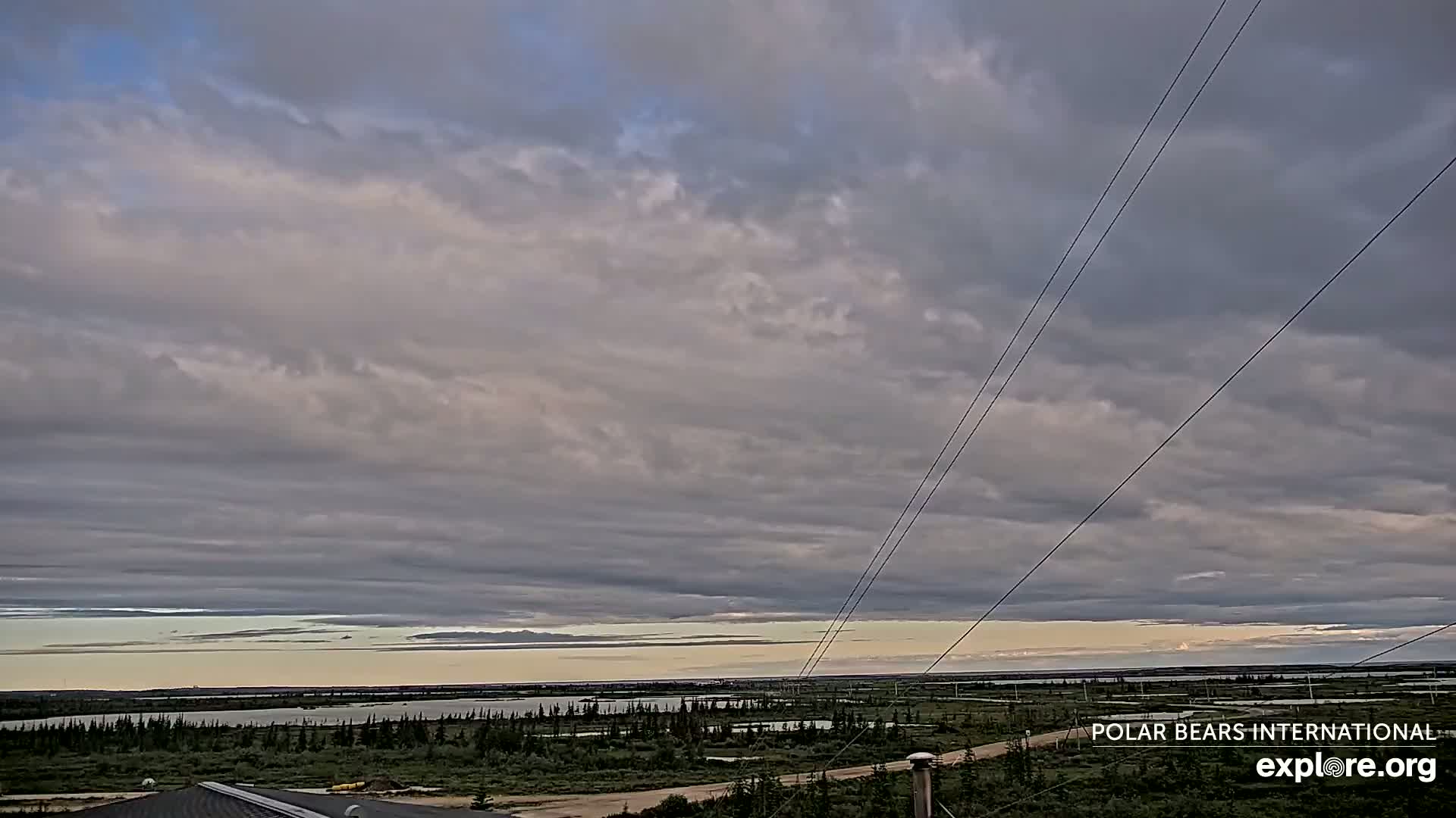 Churchill Marine Observatory, Northern Lights / Aurora Borealis / Stars View Live Cam - Churchill, Division No. 23, Northern Manitoba, Manitoba, Canada 