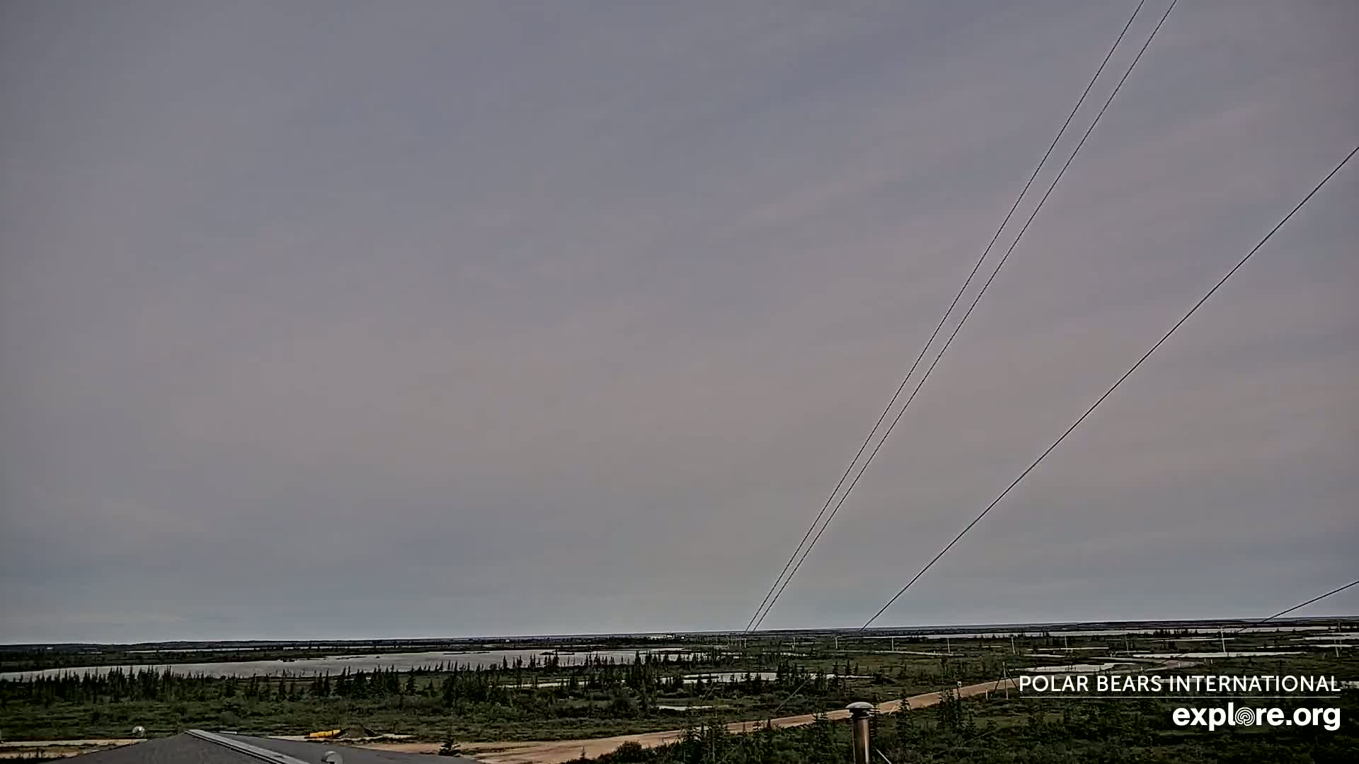 Churchill Marine Observatory, Northern Lights / Aurora Borealis / Stars View Live Cam - Churchill, Division No. 23, Northern Manitoba, Manitoba, Canada 