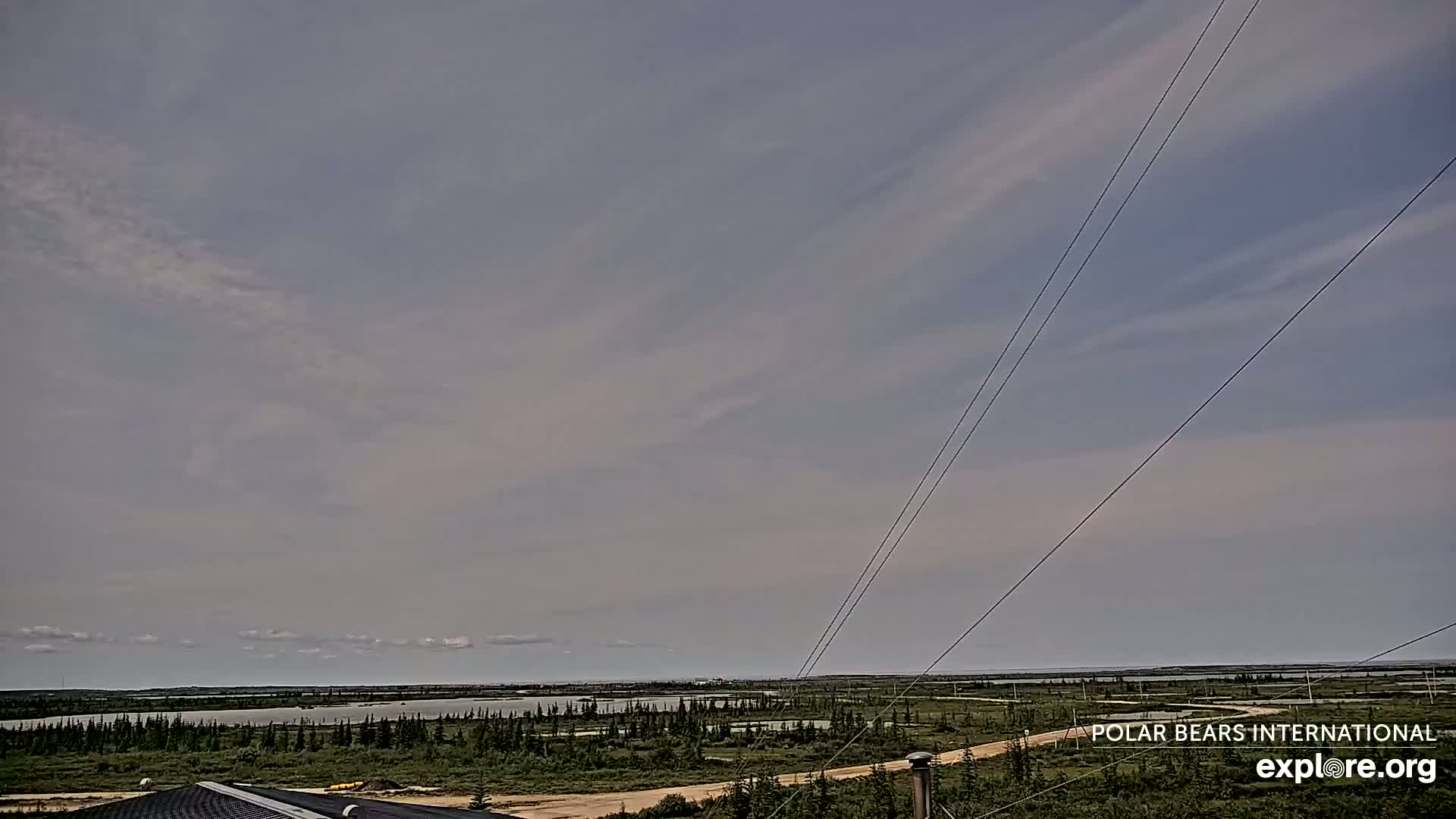 Churchill Marine Observatory, Northern Lights / Aurora Borealis / Stars View Live Cam - Churchill, Division No. 23, Northern Manitoba, Manitoba, Canada 