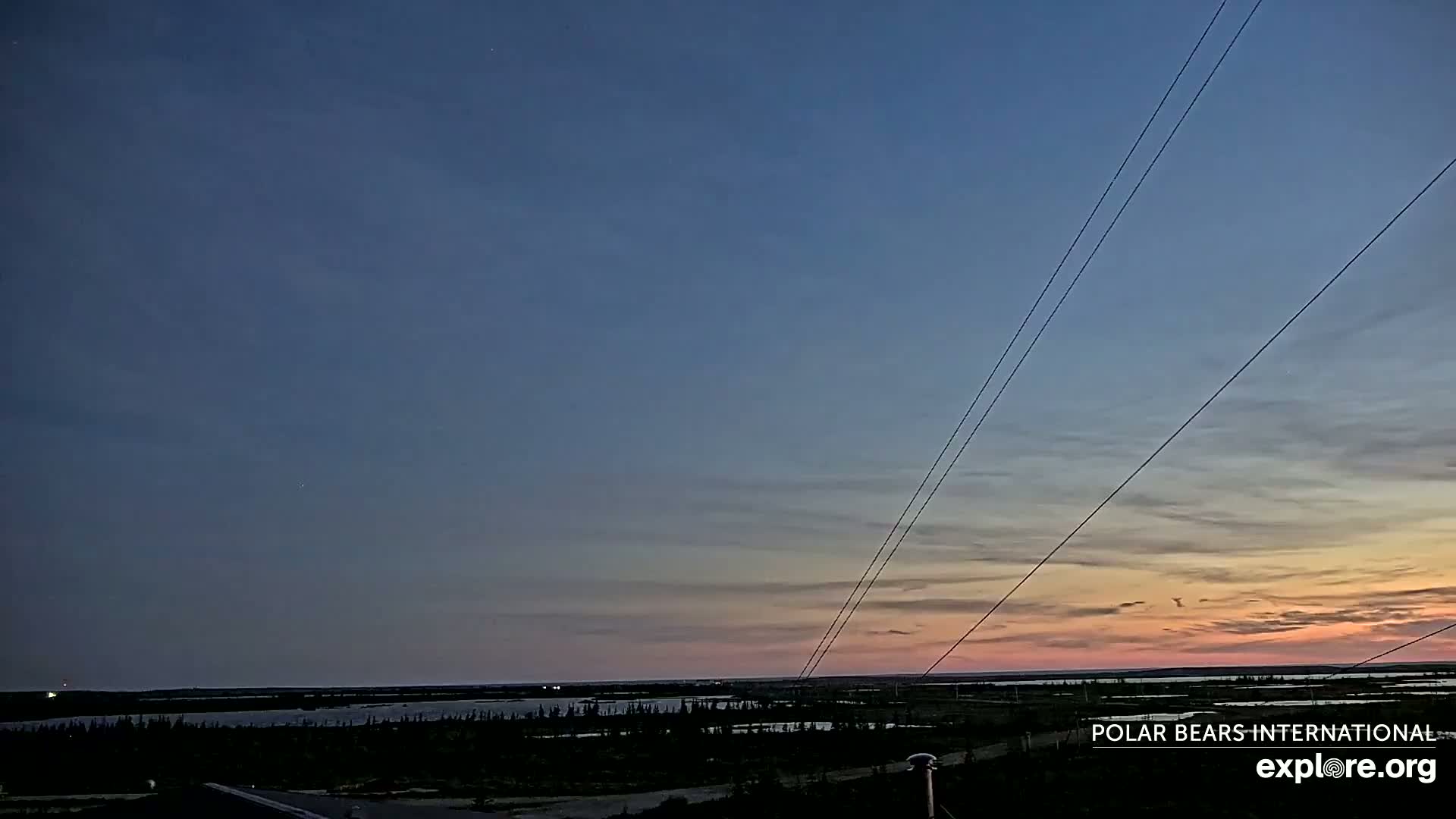 A flat, dark landscape under a twilight sky with thin clouds showing pale pink and orange hues near the horizon, and power lines stretching across the scene.