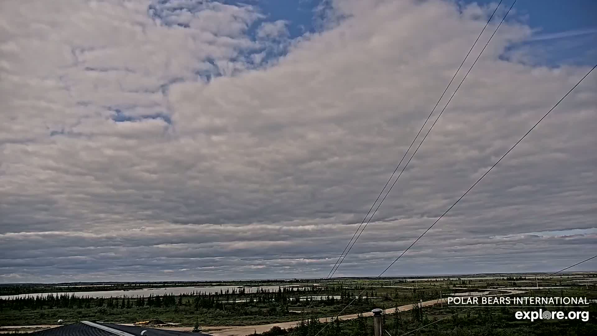 Churchill Marine Observatory, Northern Lights / Aurora Borealis / Stars View Live Cam - Churchill, Division No. 23, Northern Manitoba, Manitoba, Canada 