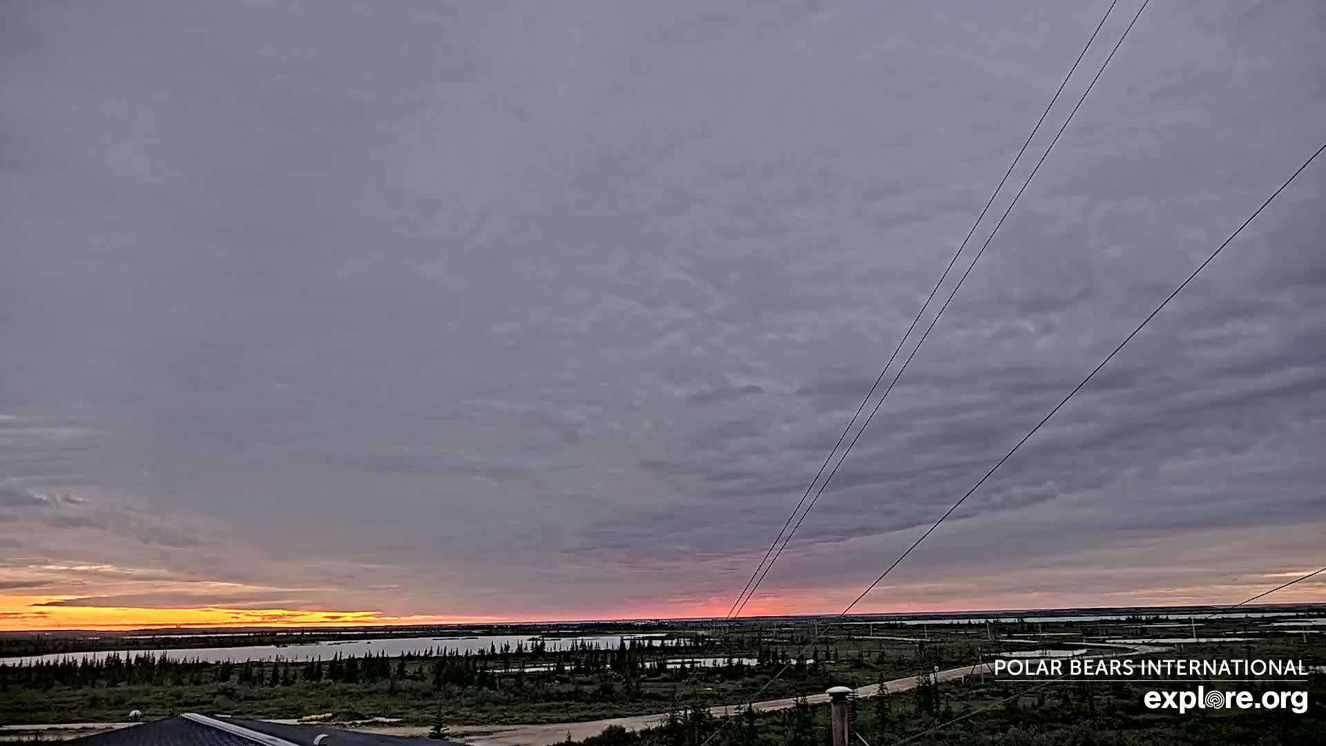 Churchill Marine Observatory, Northern Lights / Aurora Borealis / Stars View Live Cam - Churchill, Division No. 23, Northern Manitoba, Manitoba, Canada 