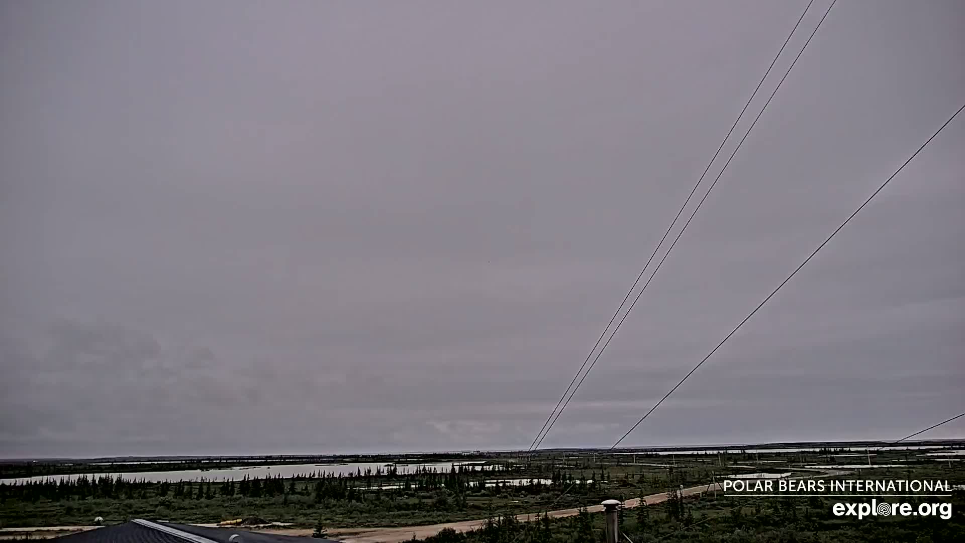 Churchill Marine Observatory, Northern Lights / Aurora Borealis / Stars View Live Cam - Churchill, Division No. 23, Northern Manitoba, Manitoba, Canada 